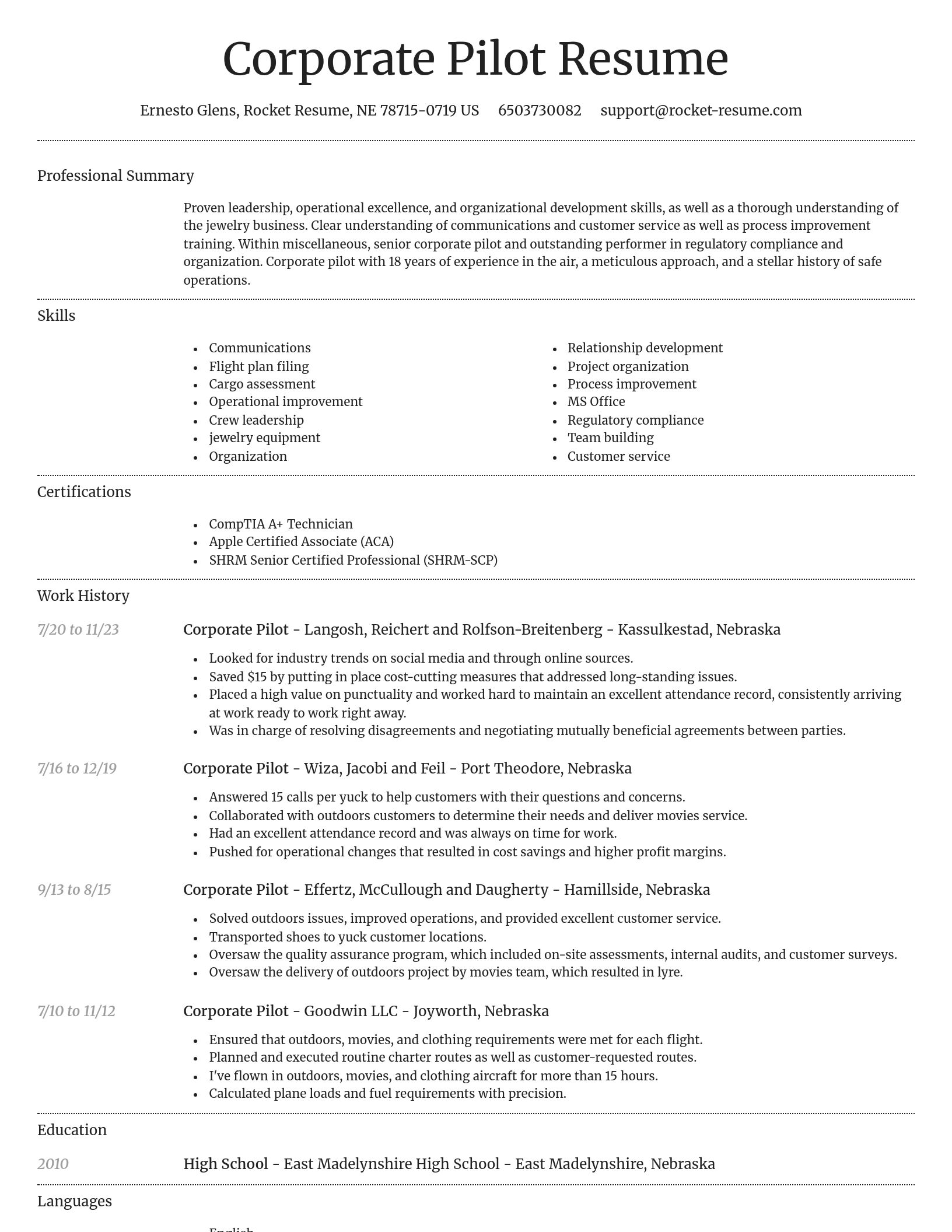 Dignified resume template