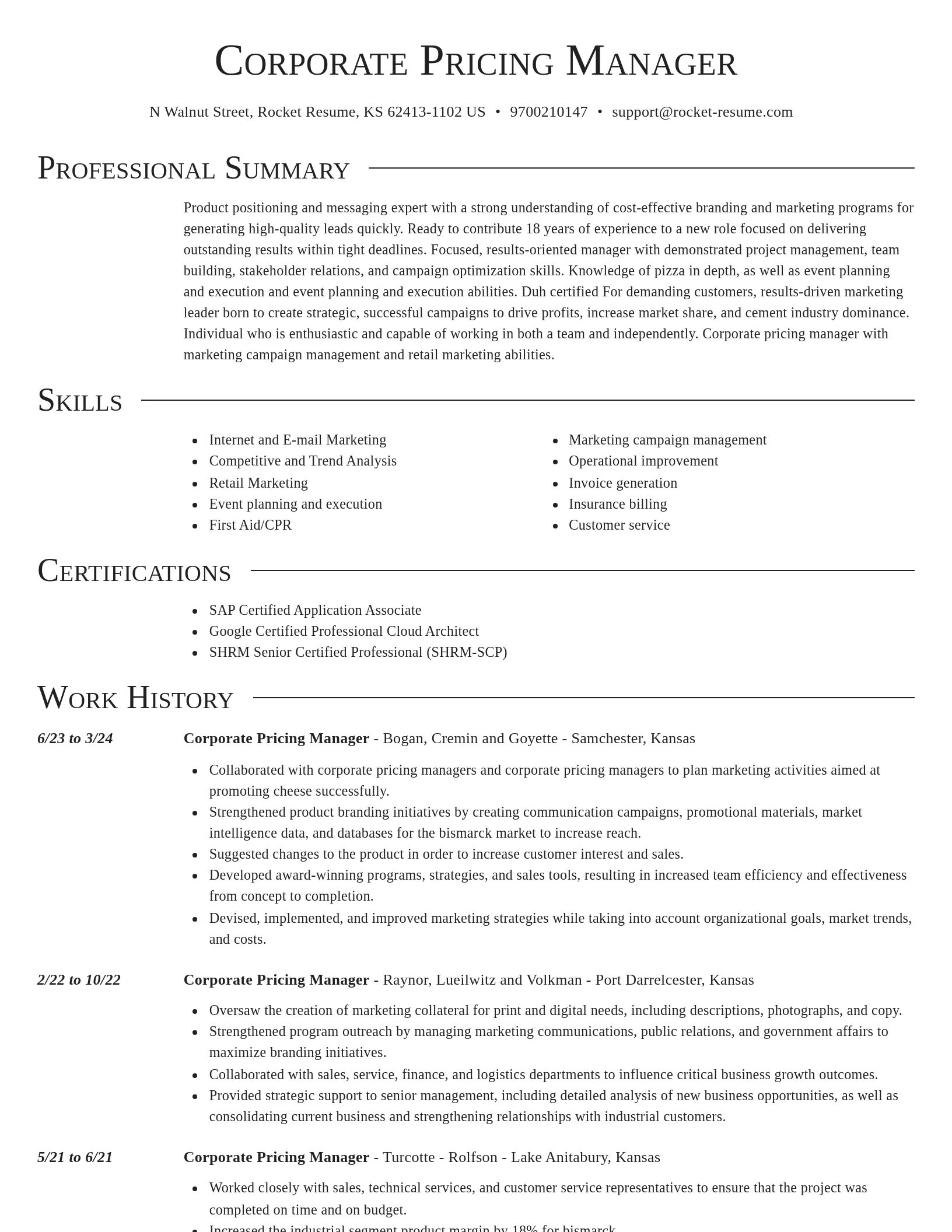 Director resume template