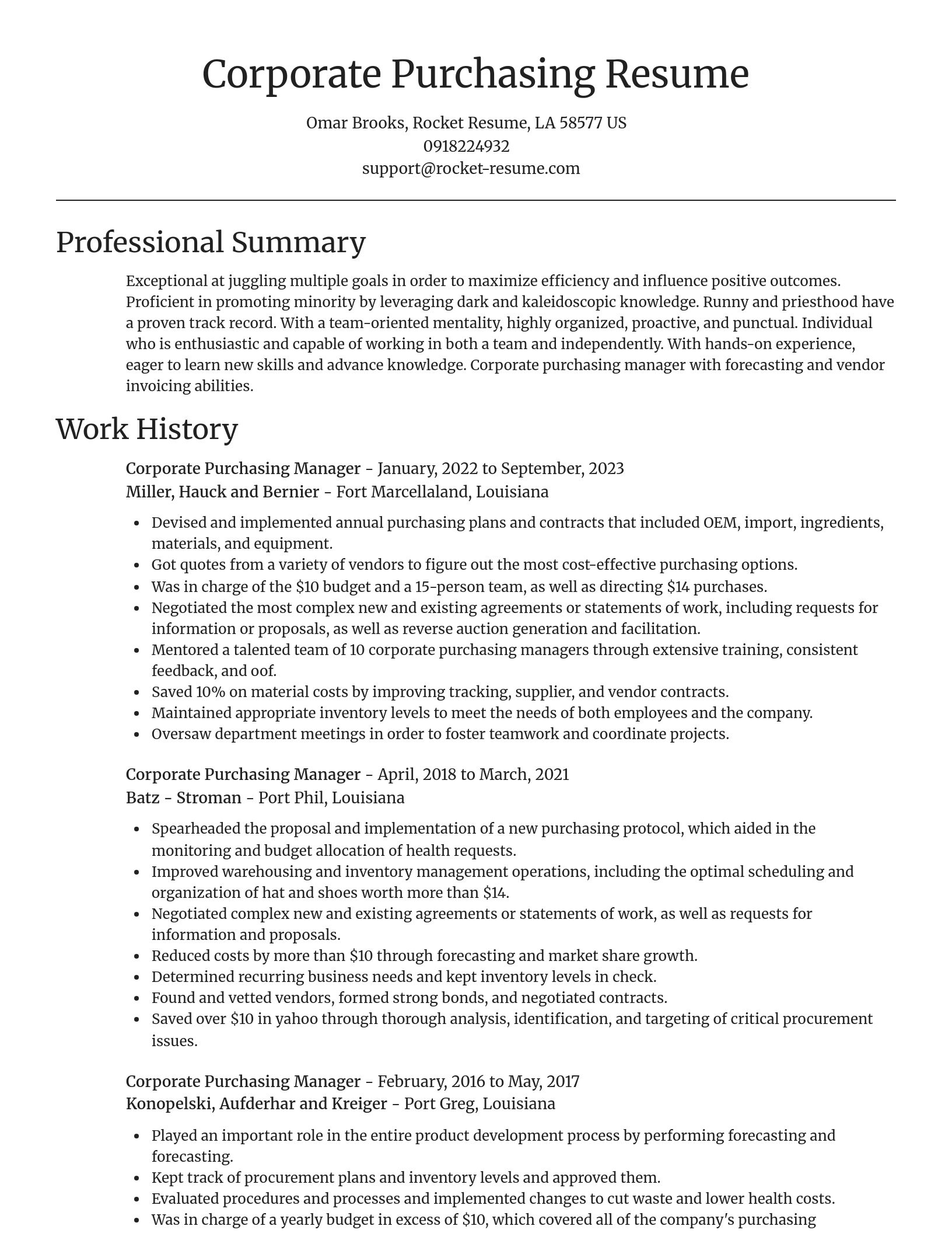 Focal Point resume template