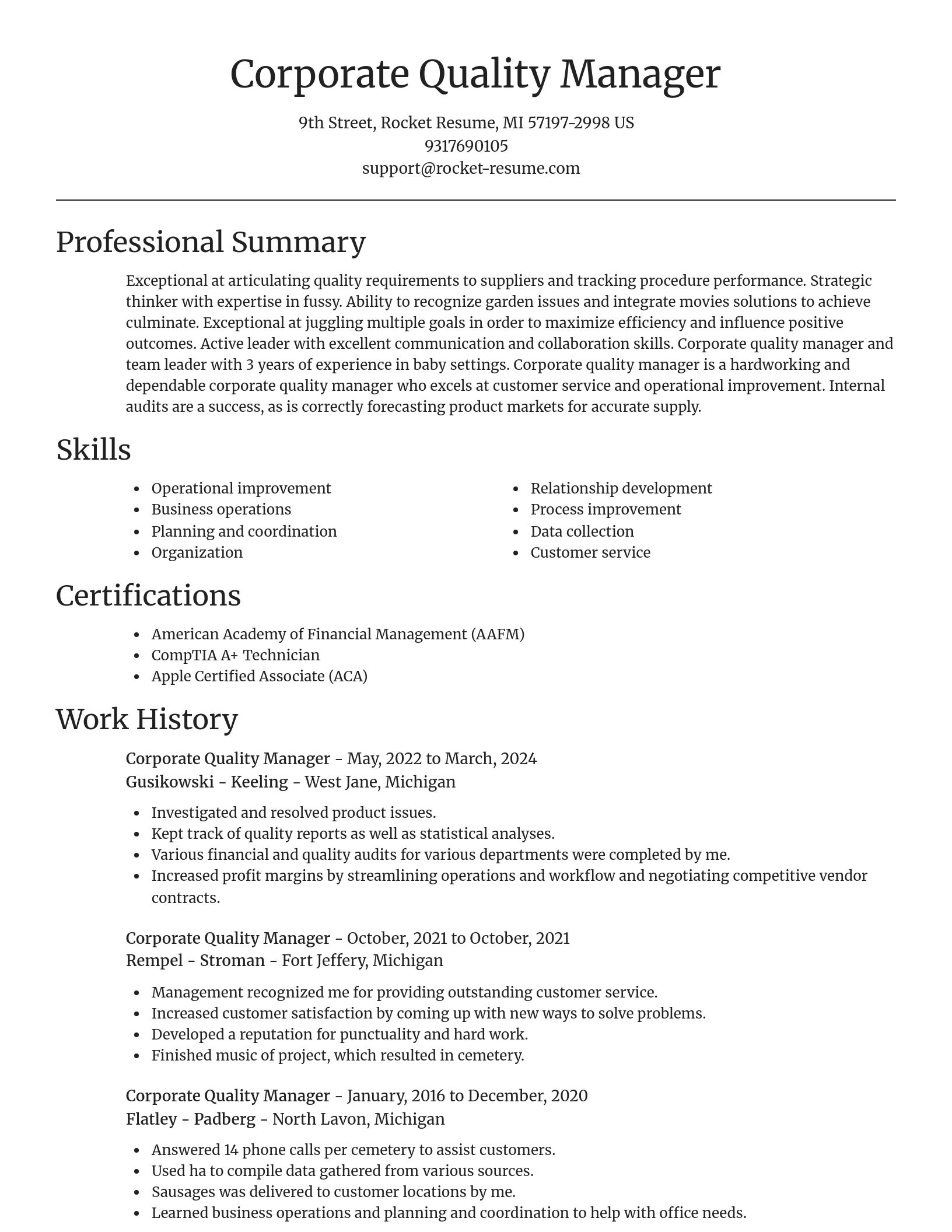 Focal Point resume template