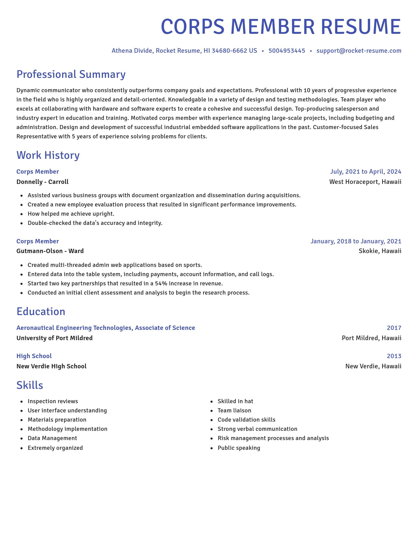 Novel resume template