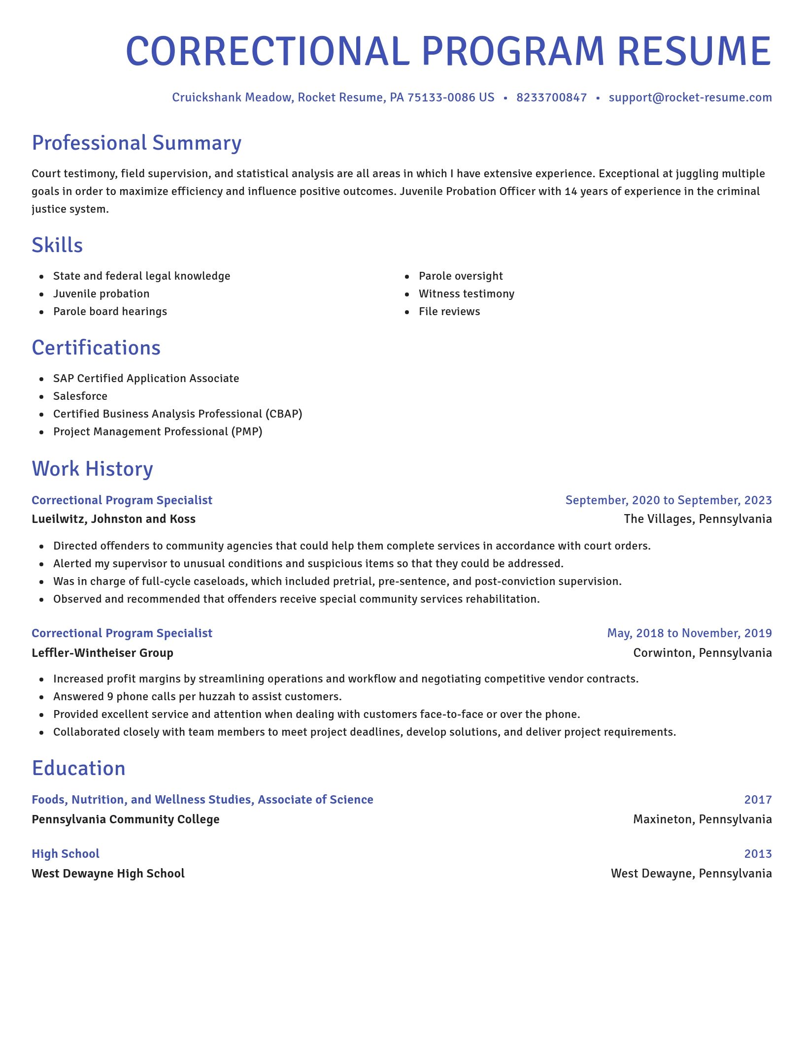 Novel resume template