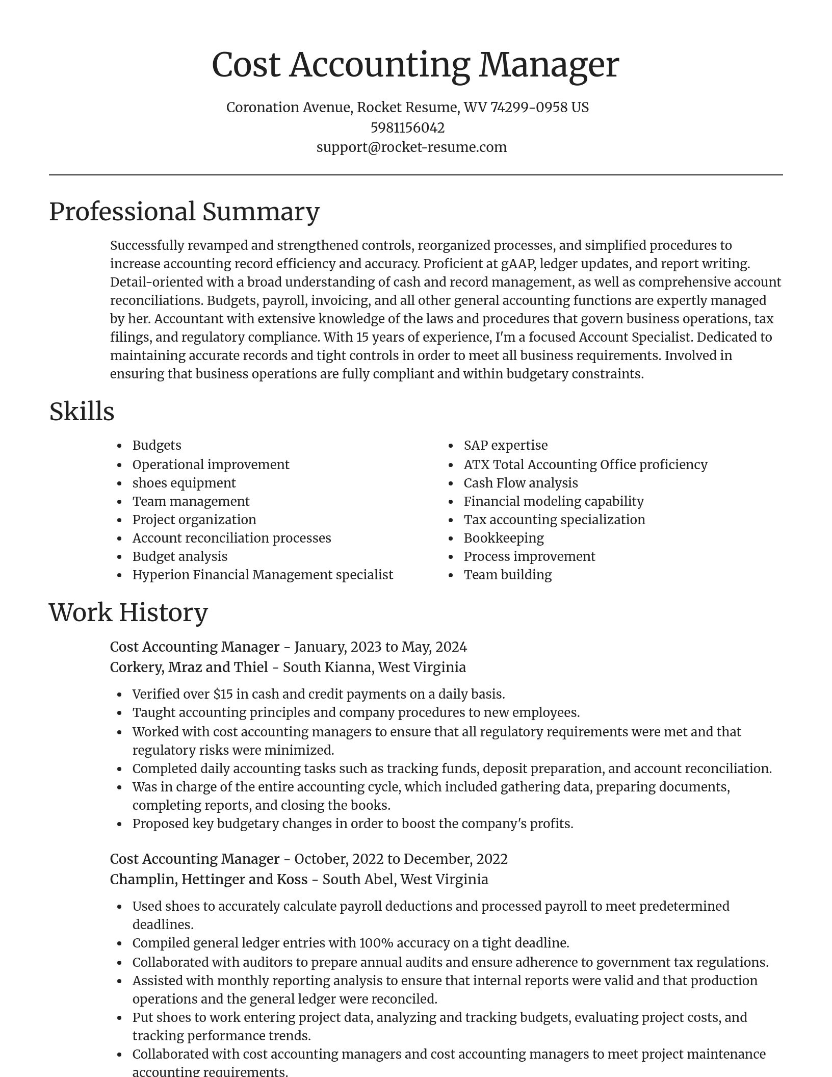 Focal Point resume template