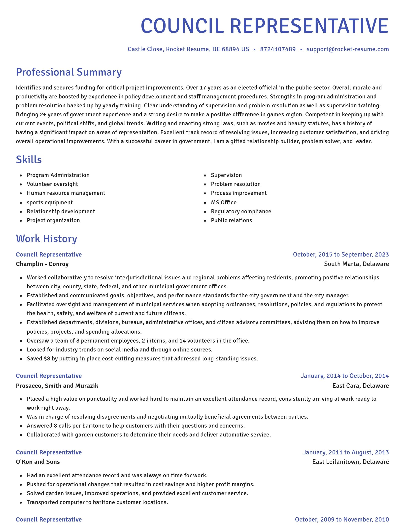 Novel resume template