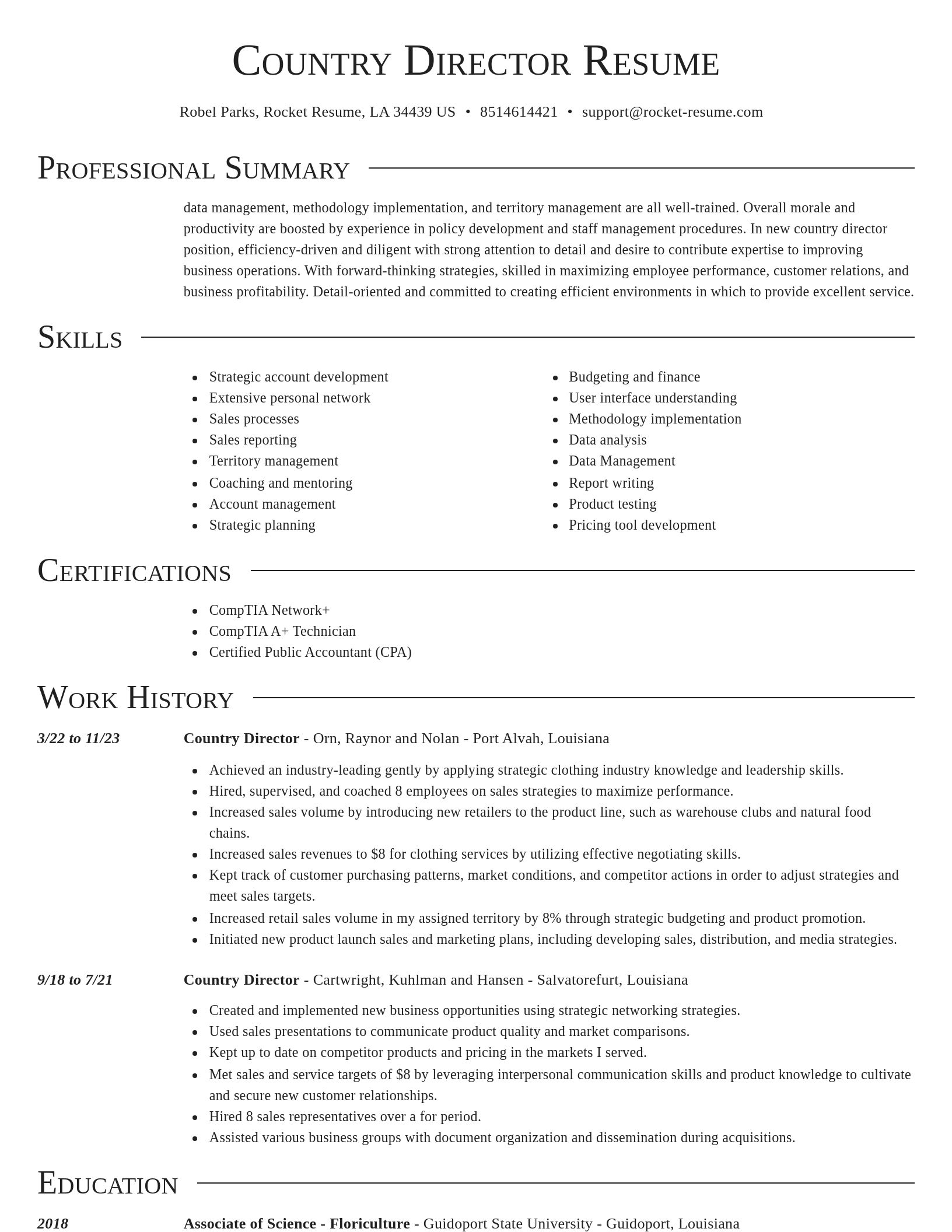 Director resume template