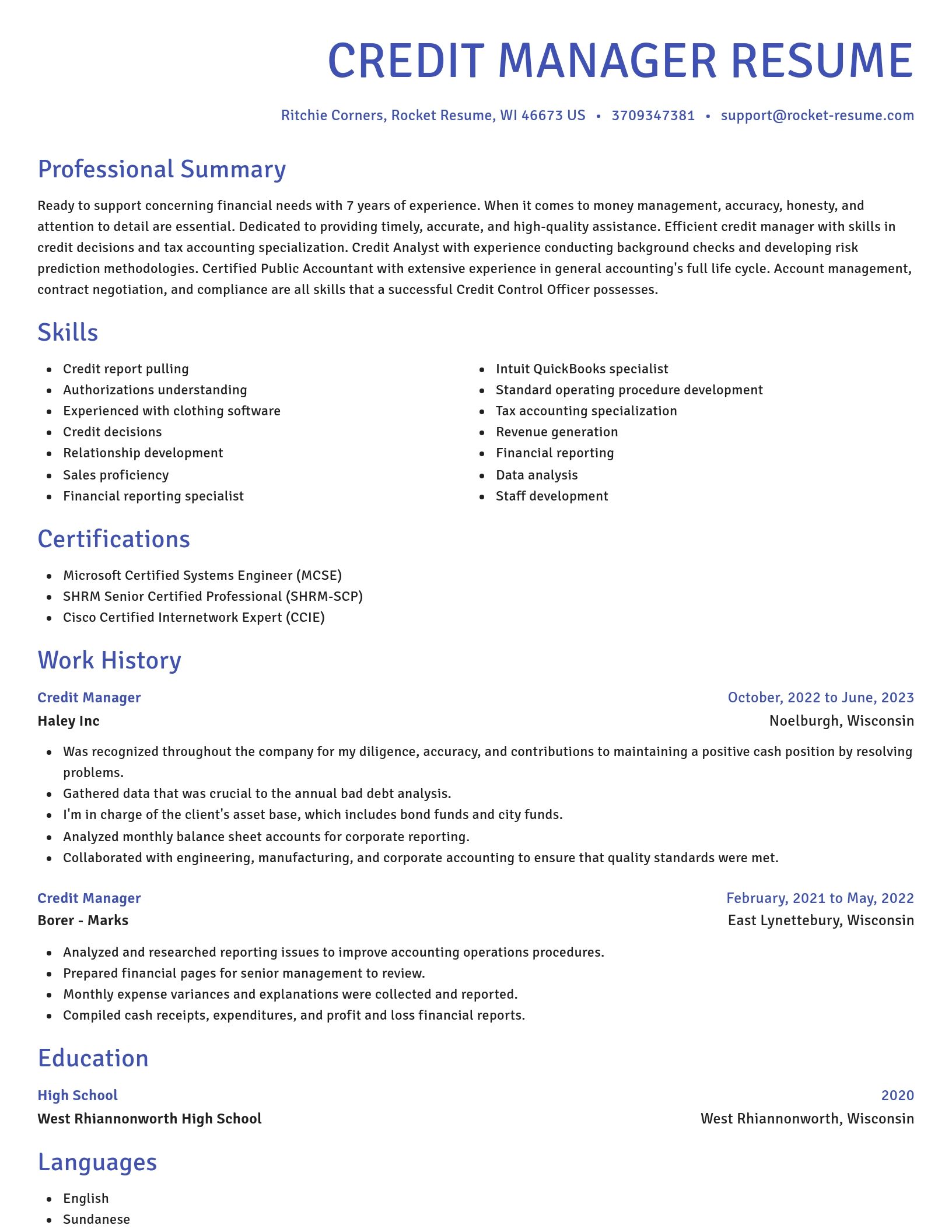 Novel resume template