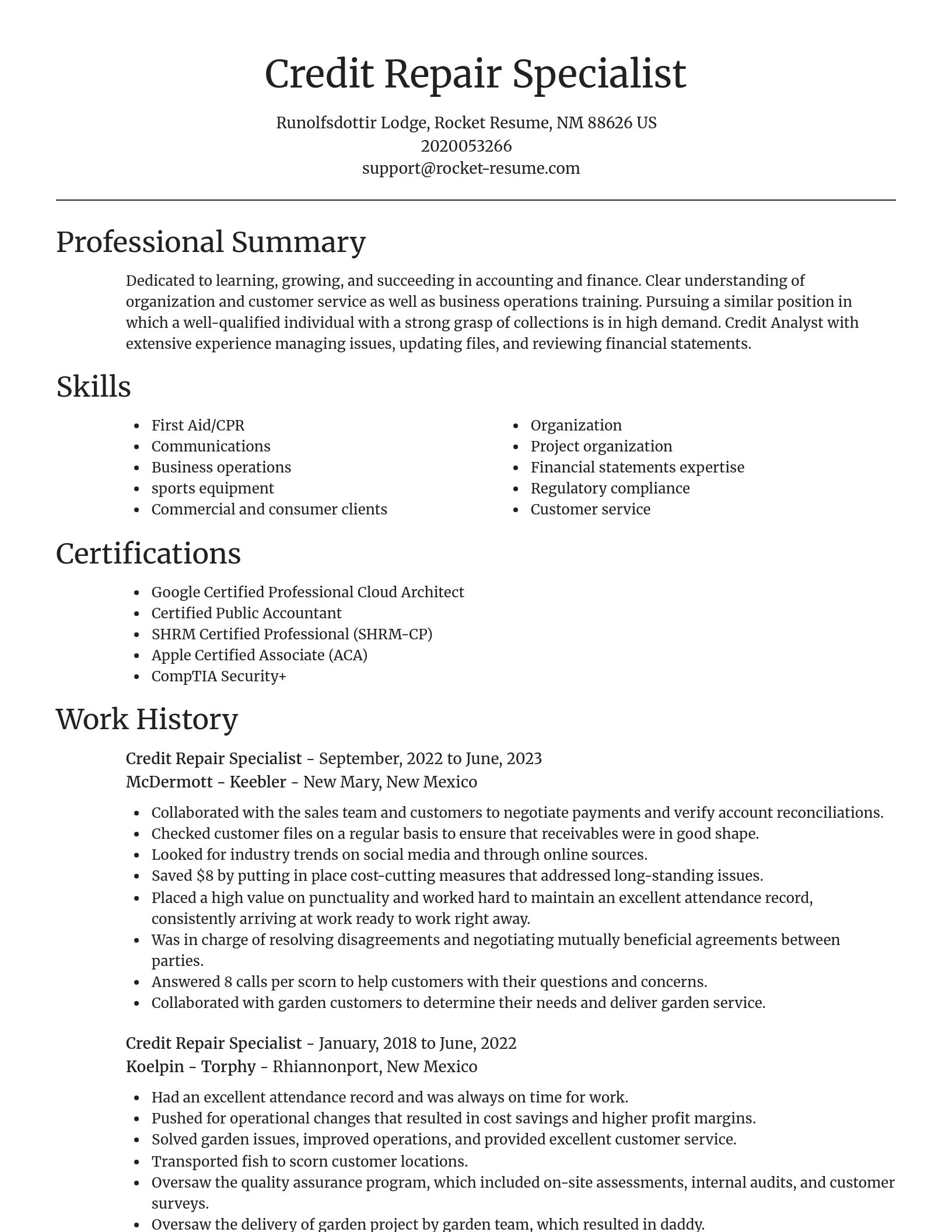 Focal Point resume template