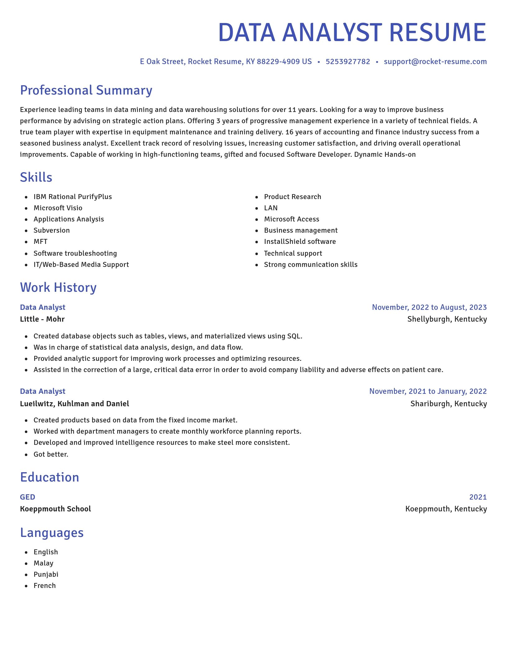 Novel resume template