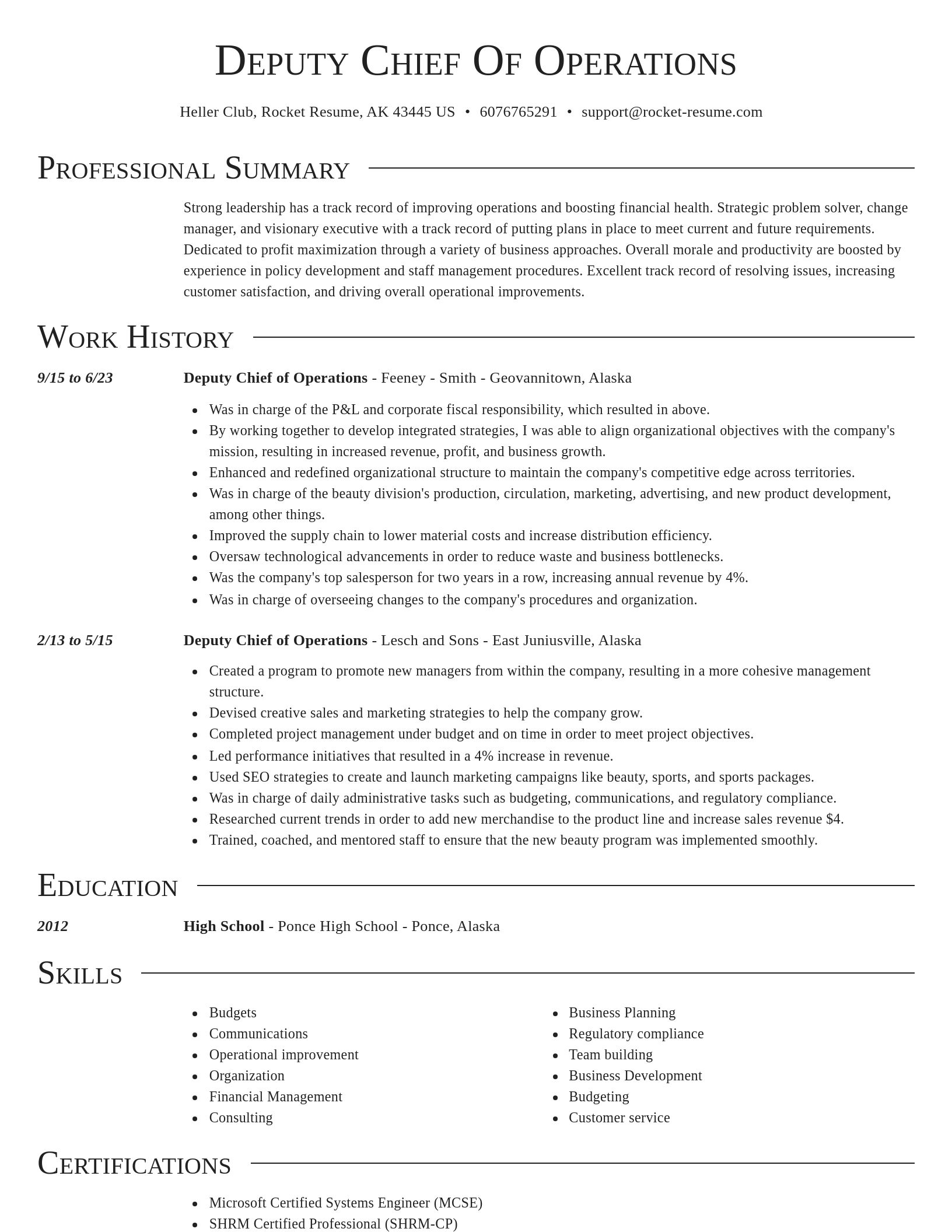 Director resume template