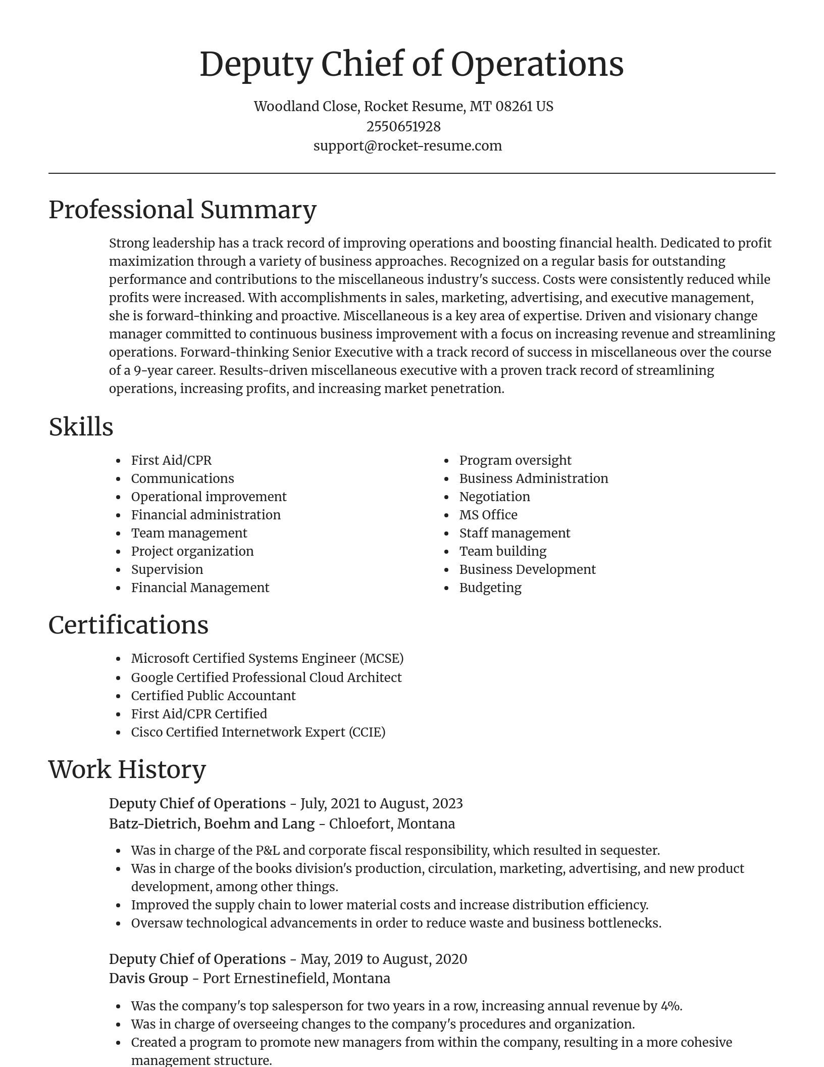 Focal Point resume template