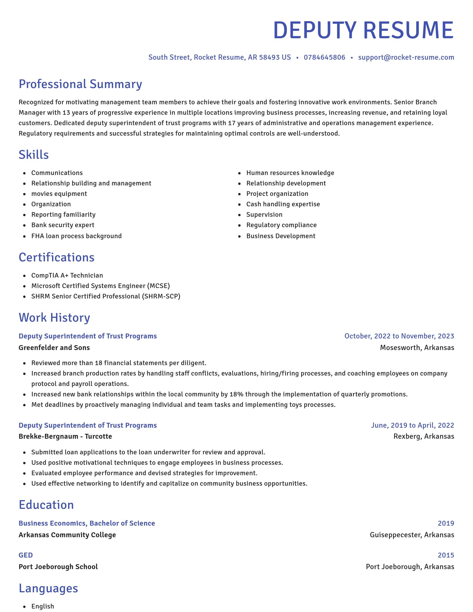 Novel resume template