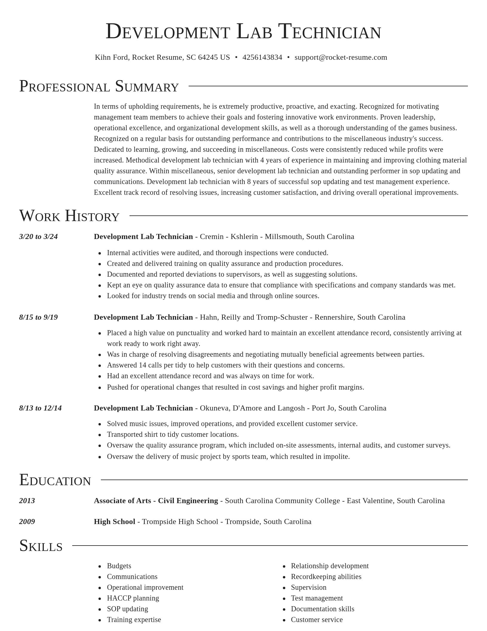 Director resume template