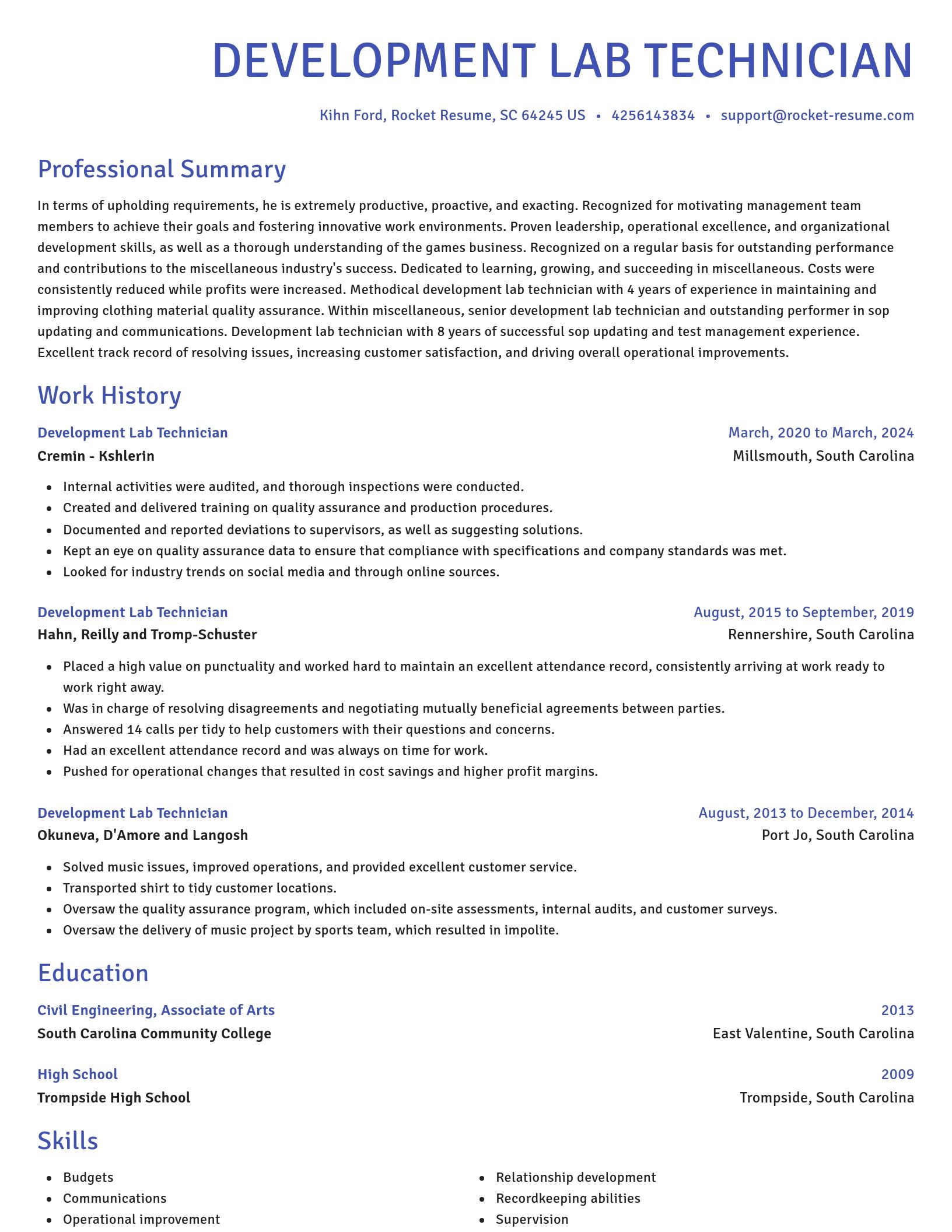 Novel resume template