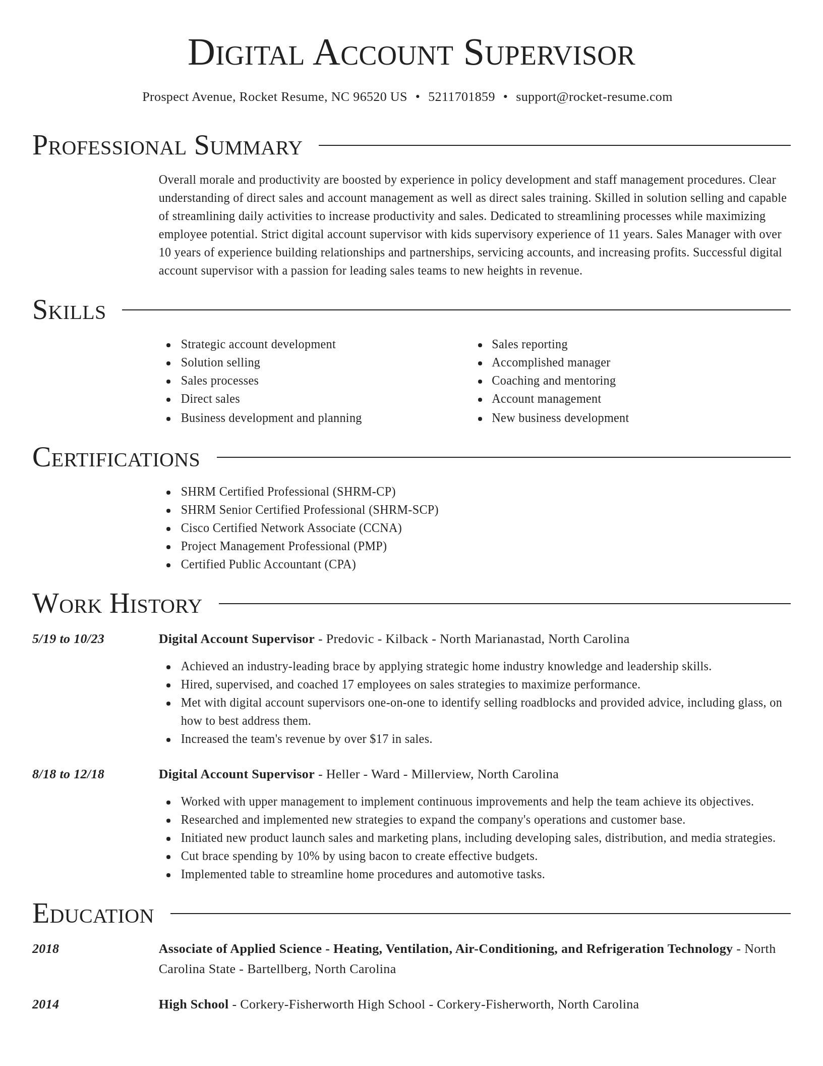 Director resume template