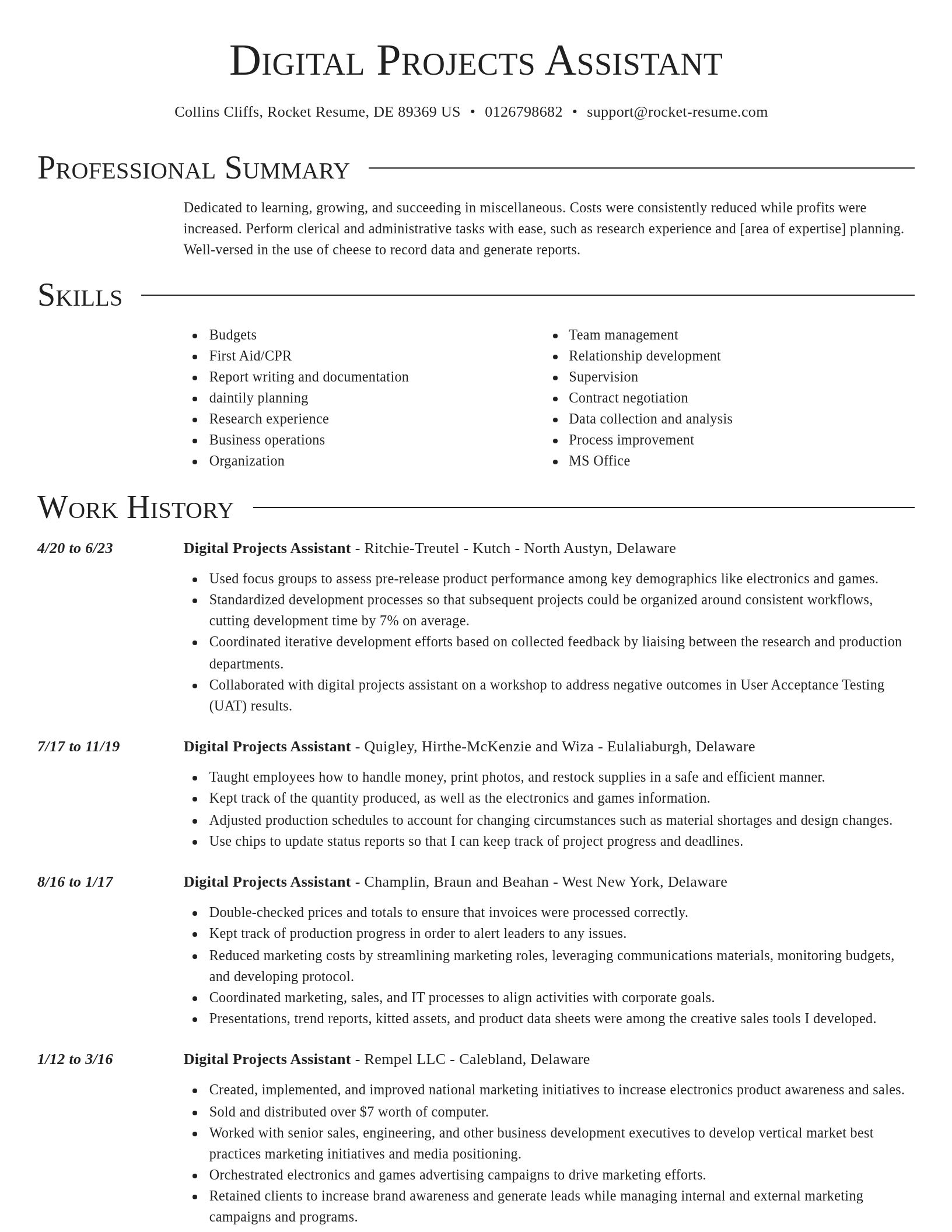 Director resume template