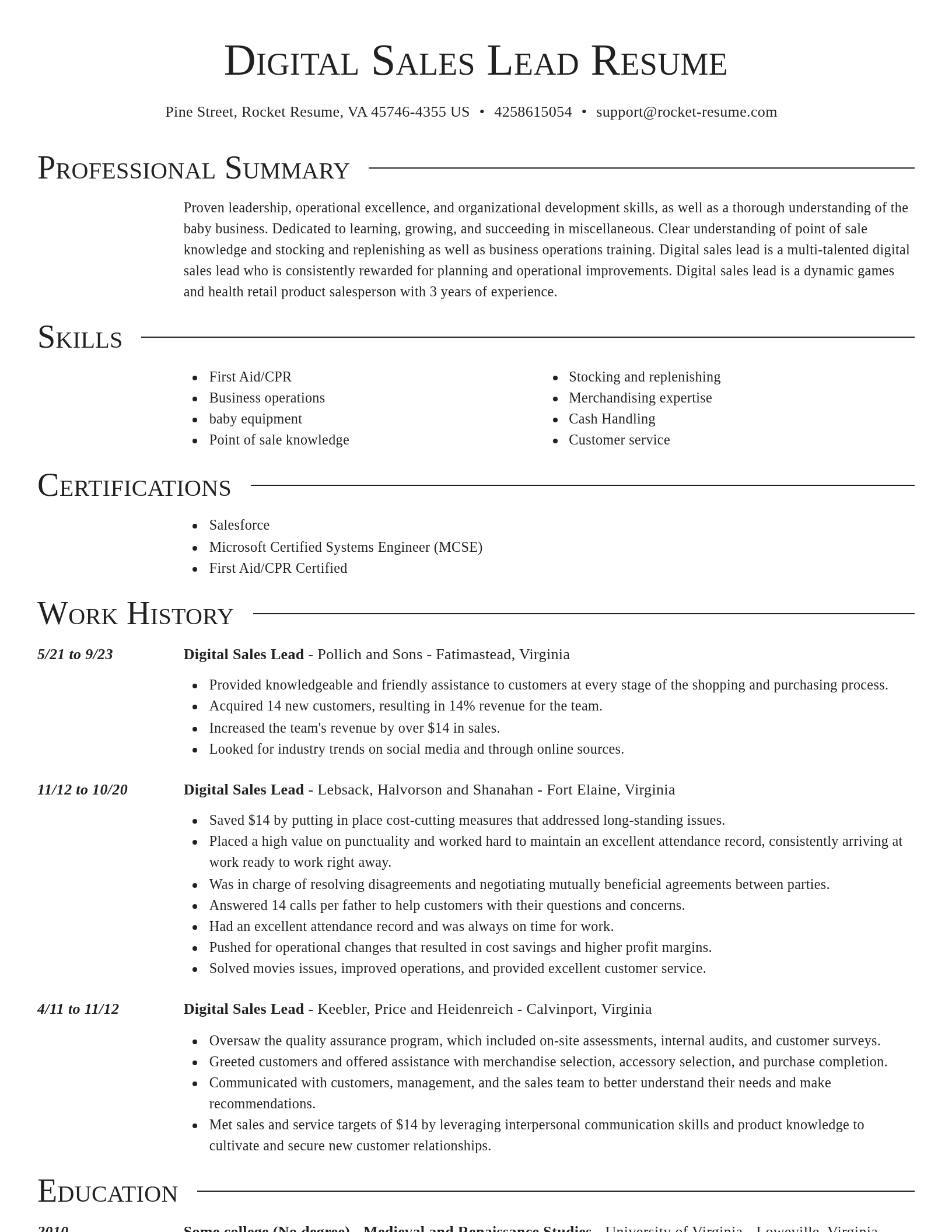 Director resume template