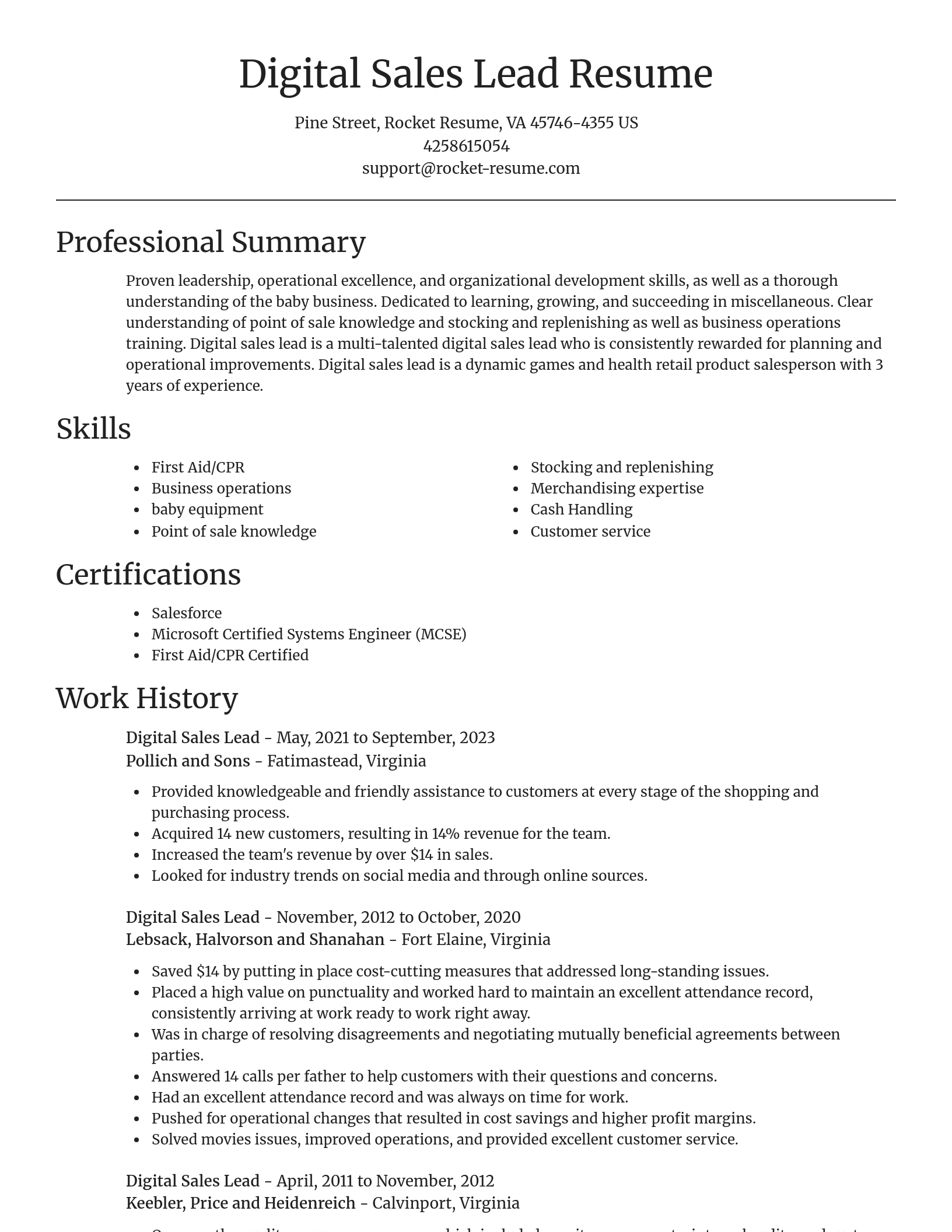 Focal Point resume template