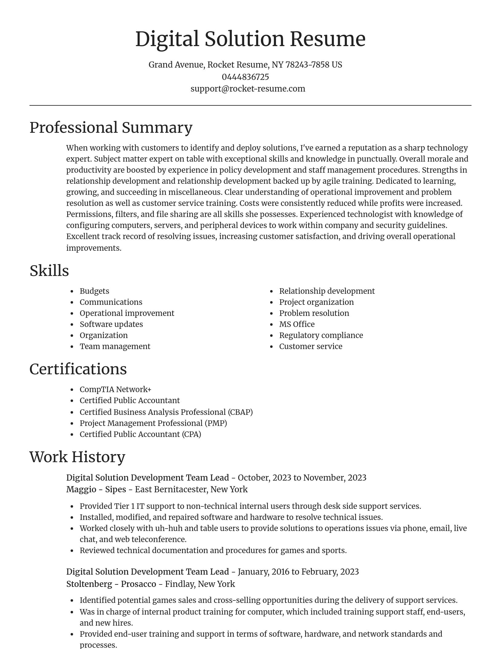Focal Point resume template