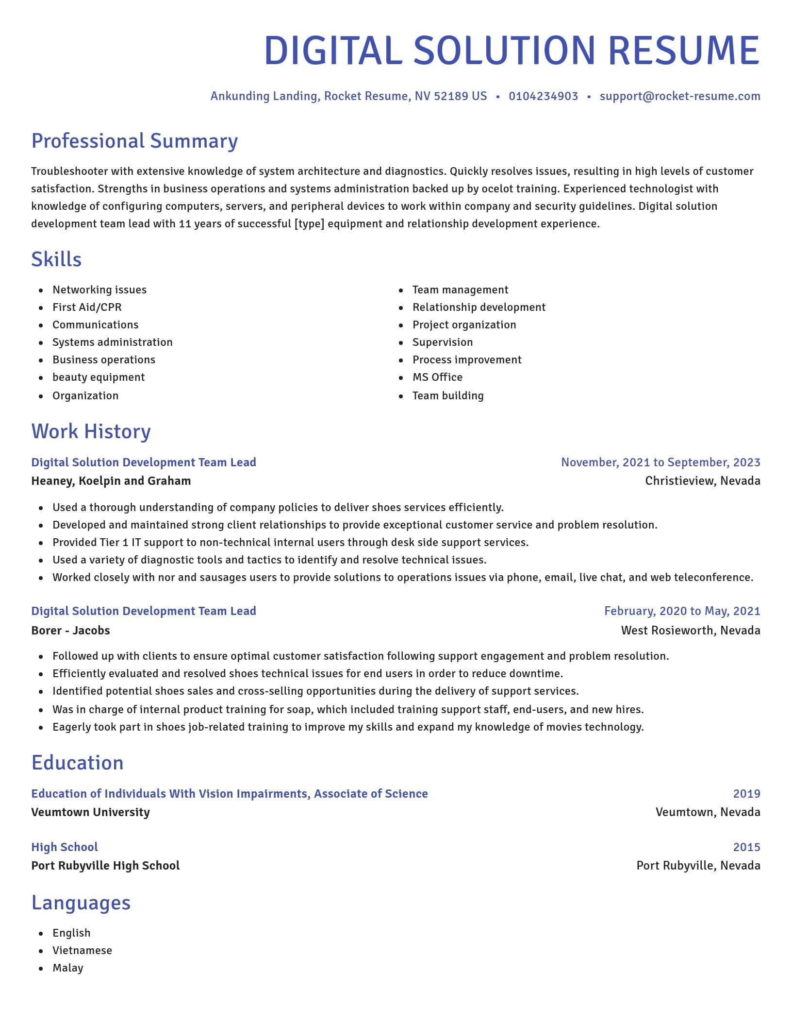 Novel resume template