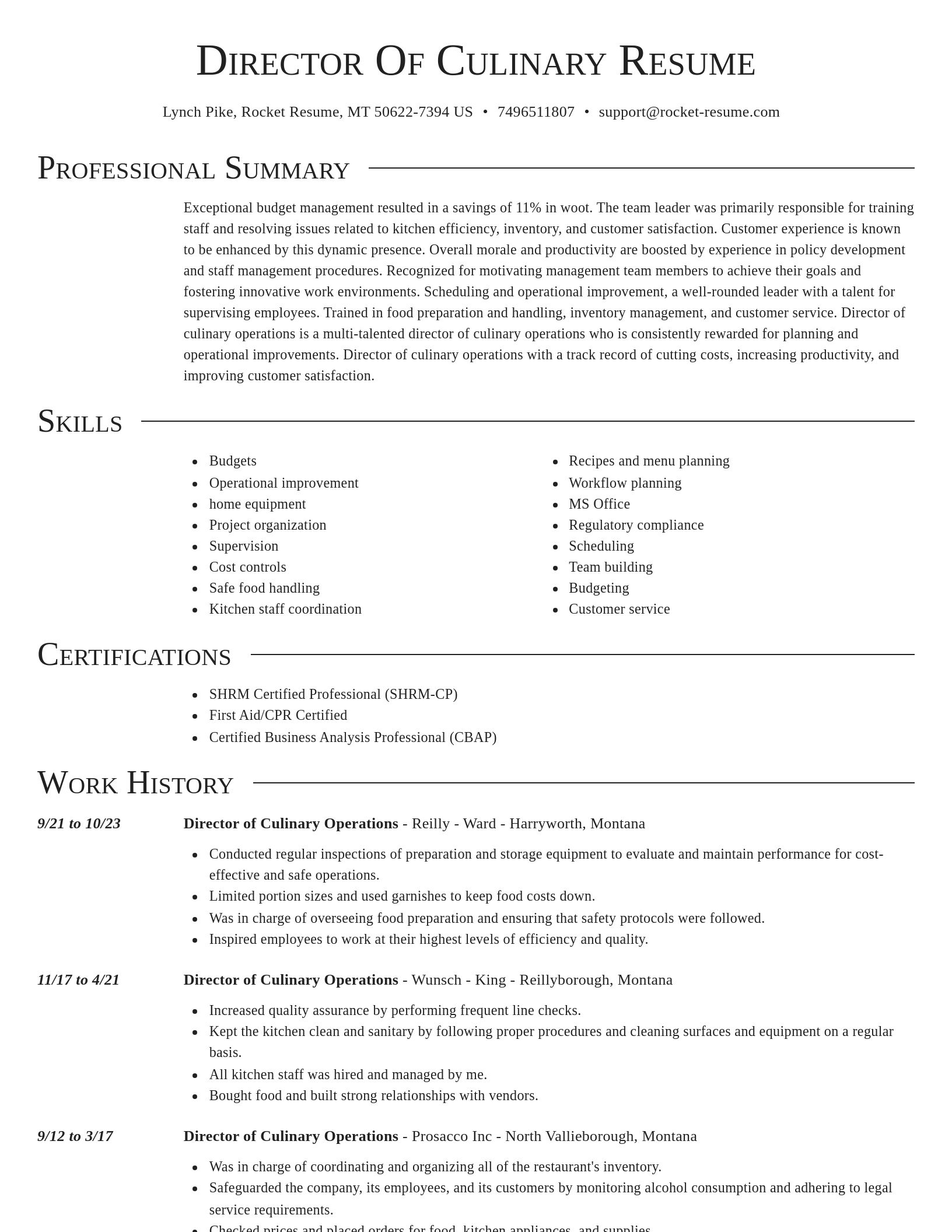 Director resume template