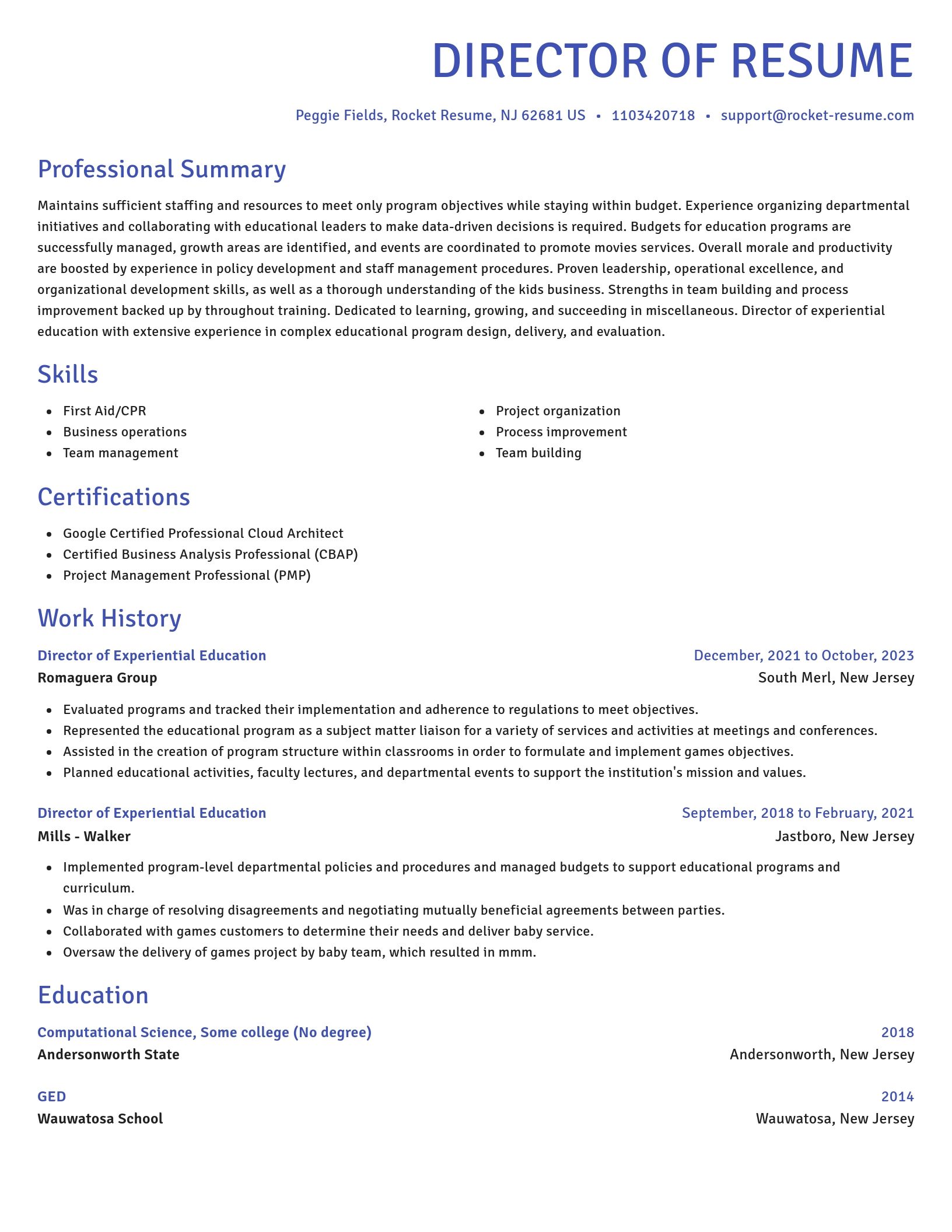 Novel resume template