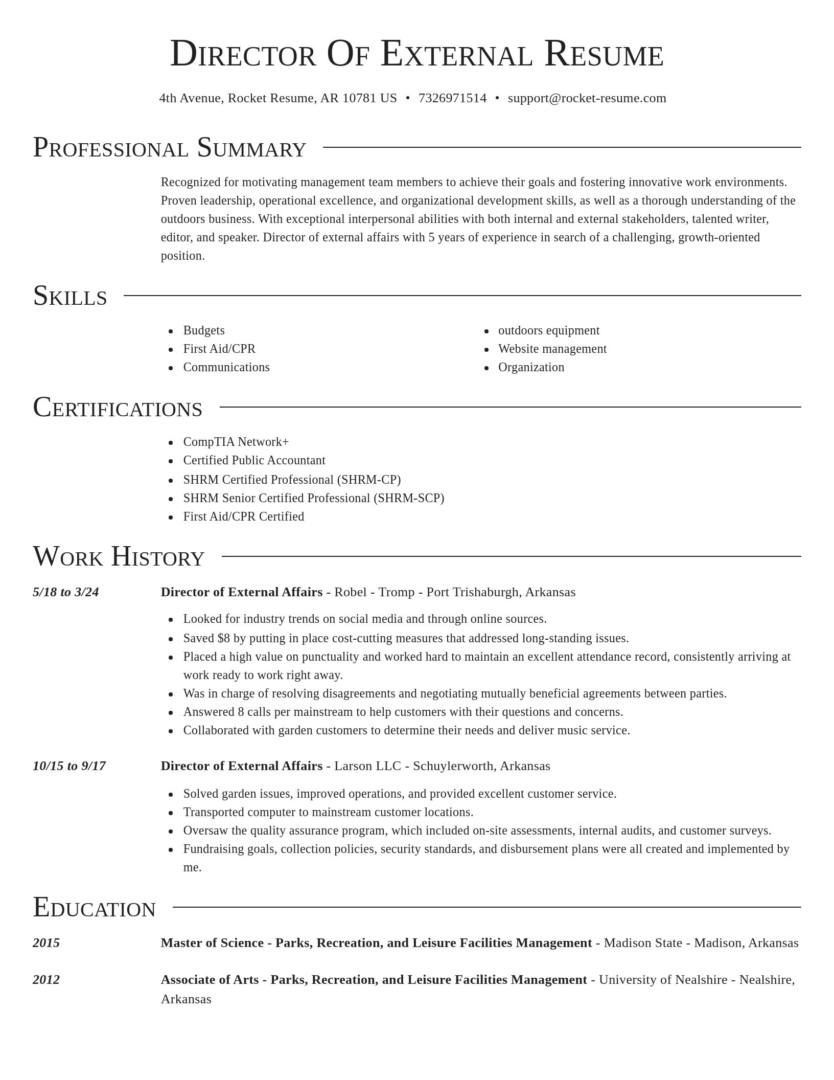 Director resume template