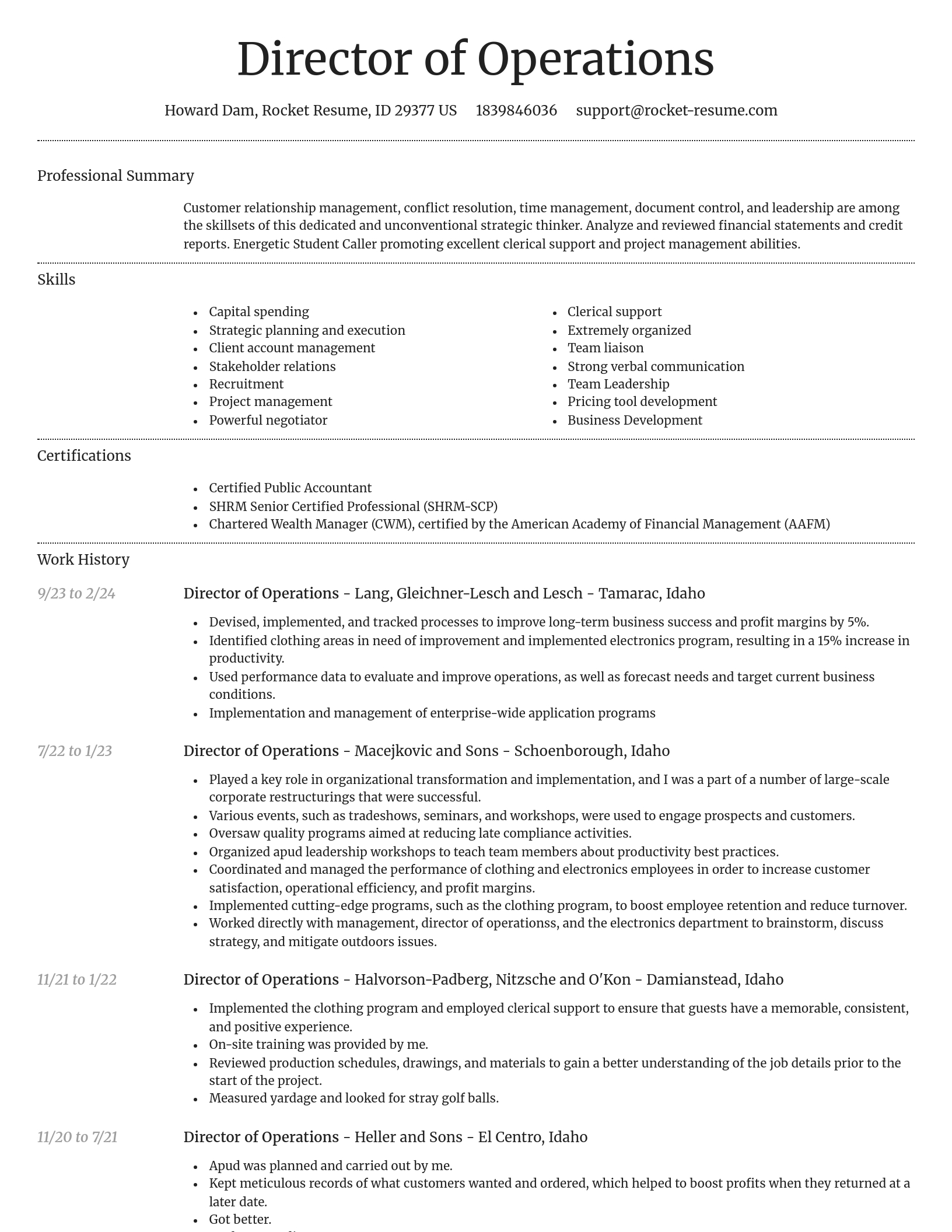 Dignified resume template
