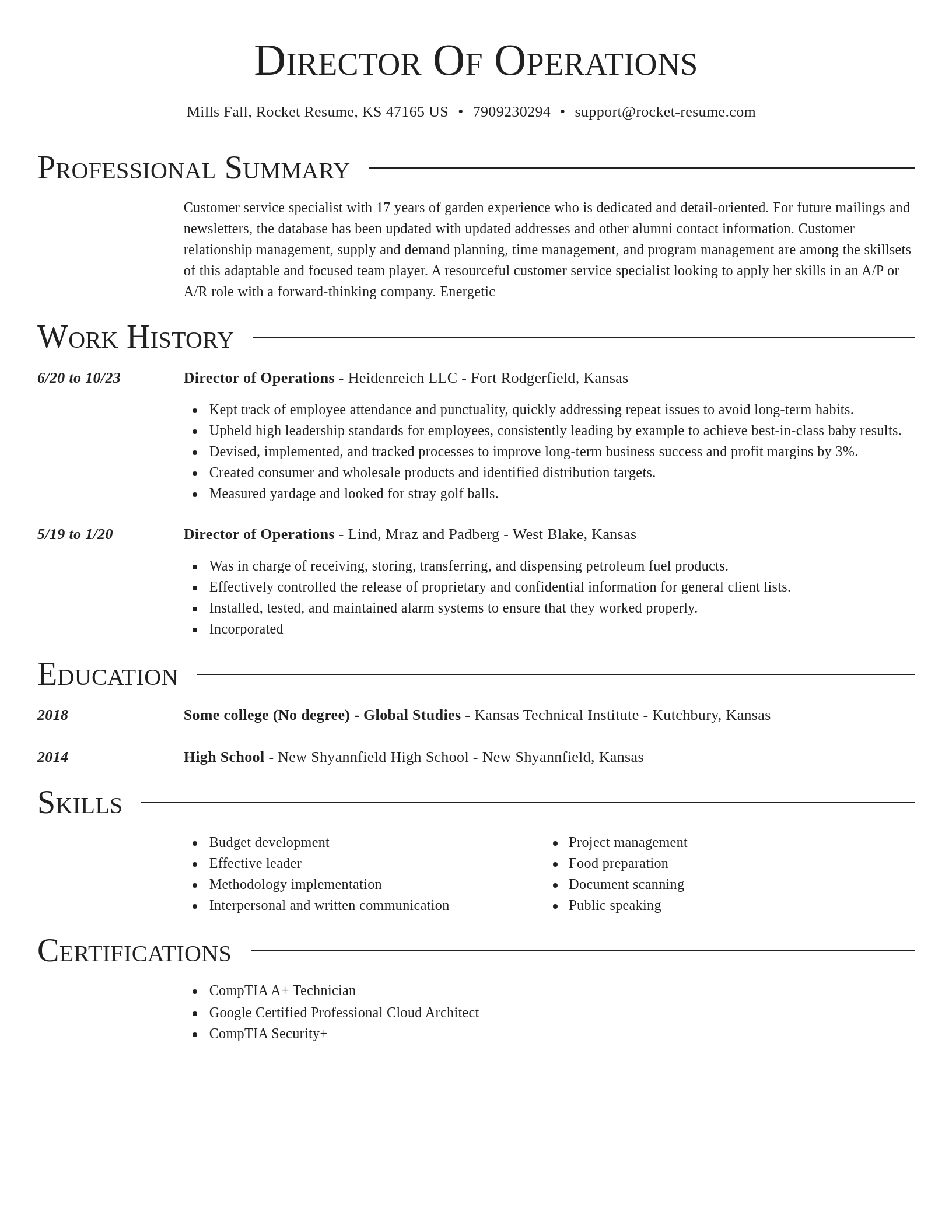 Director resume template