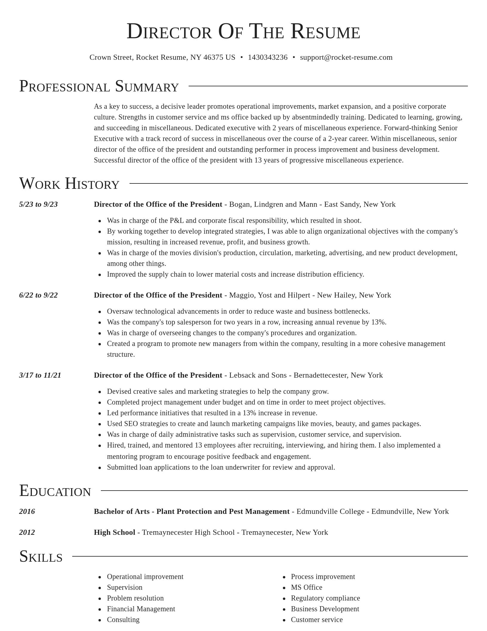 Director resume template