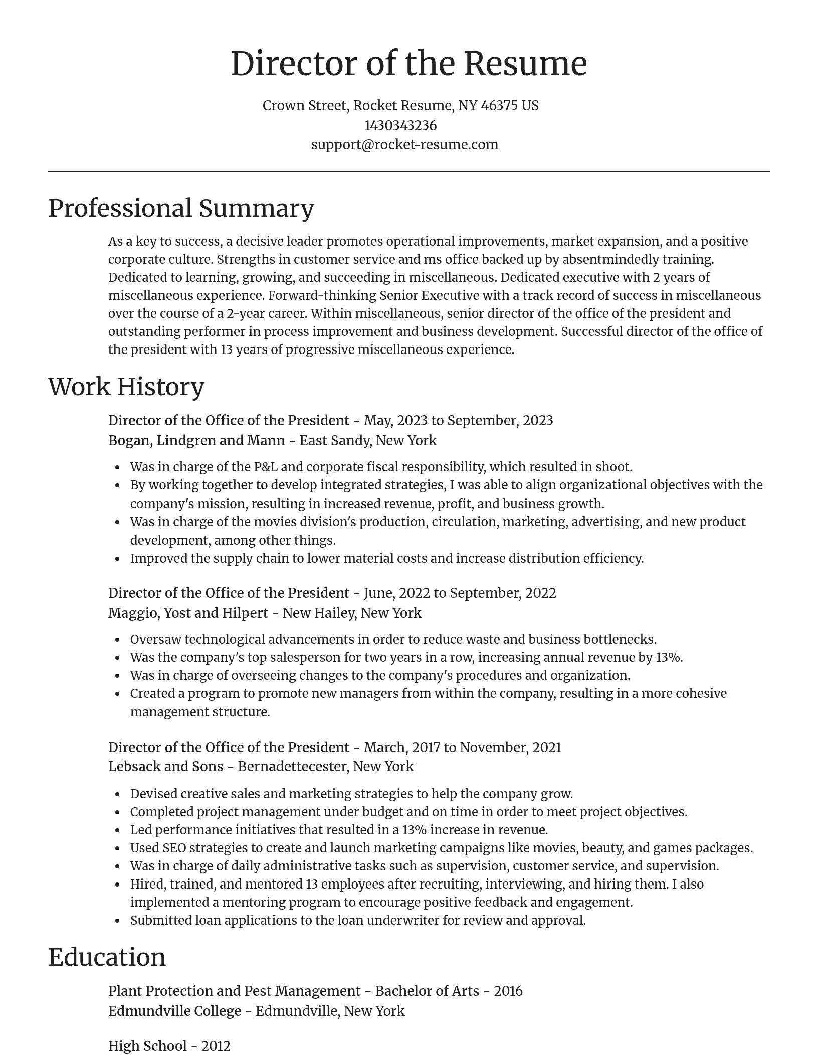 Focal Point resume template