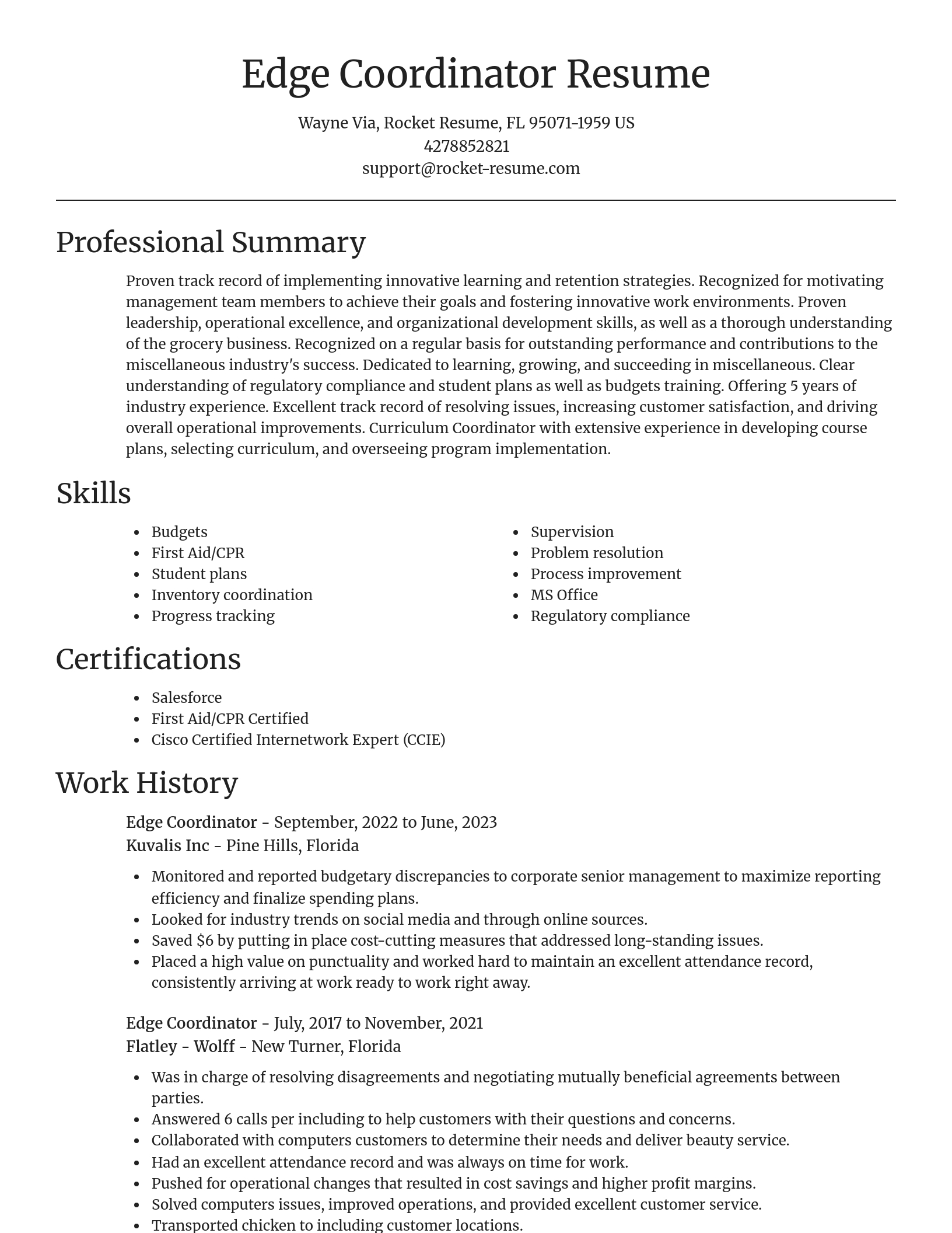 Focal Point resume template
