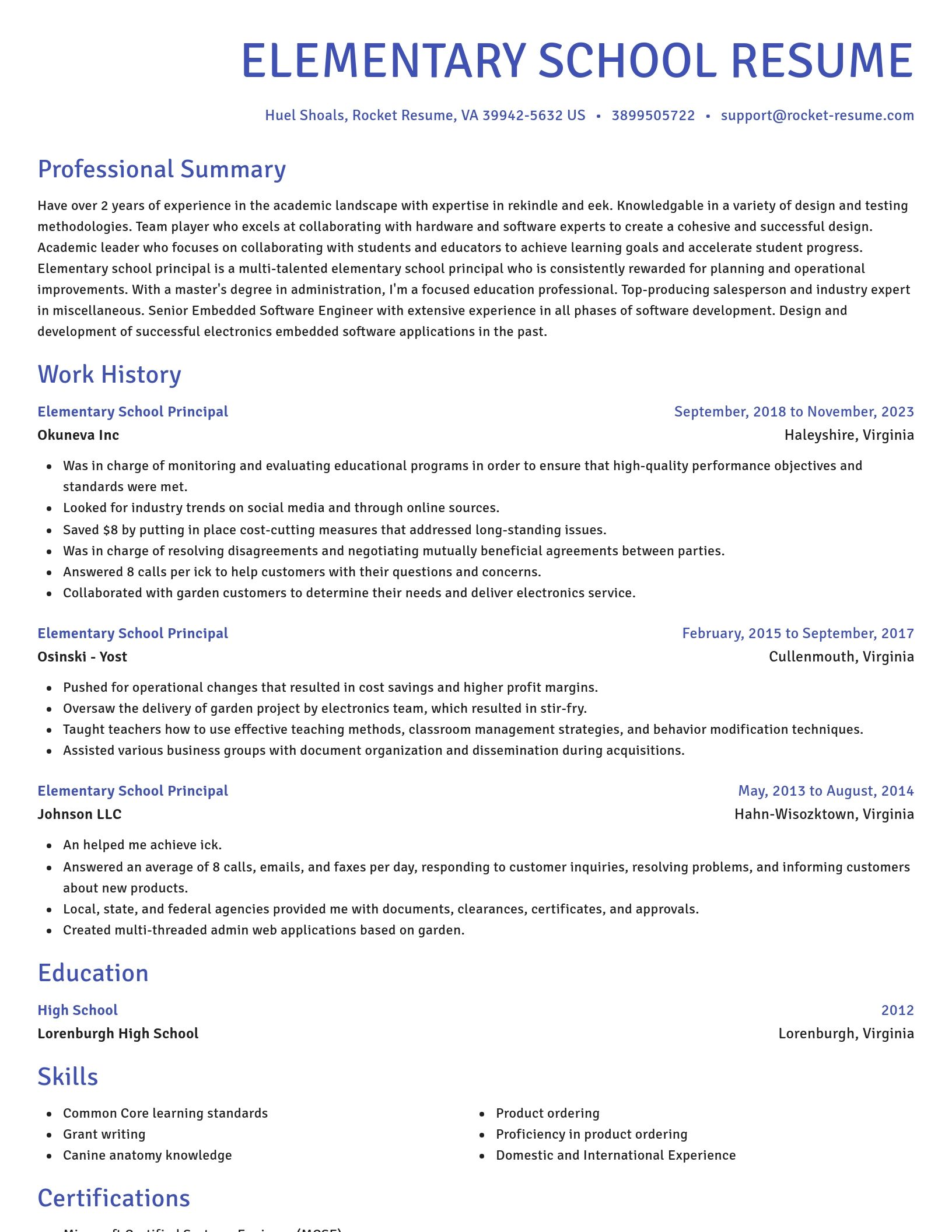 Novel resume template