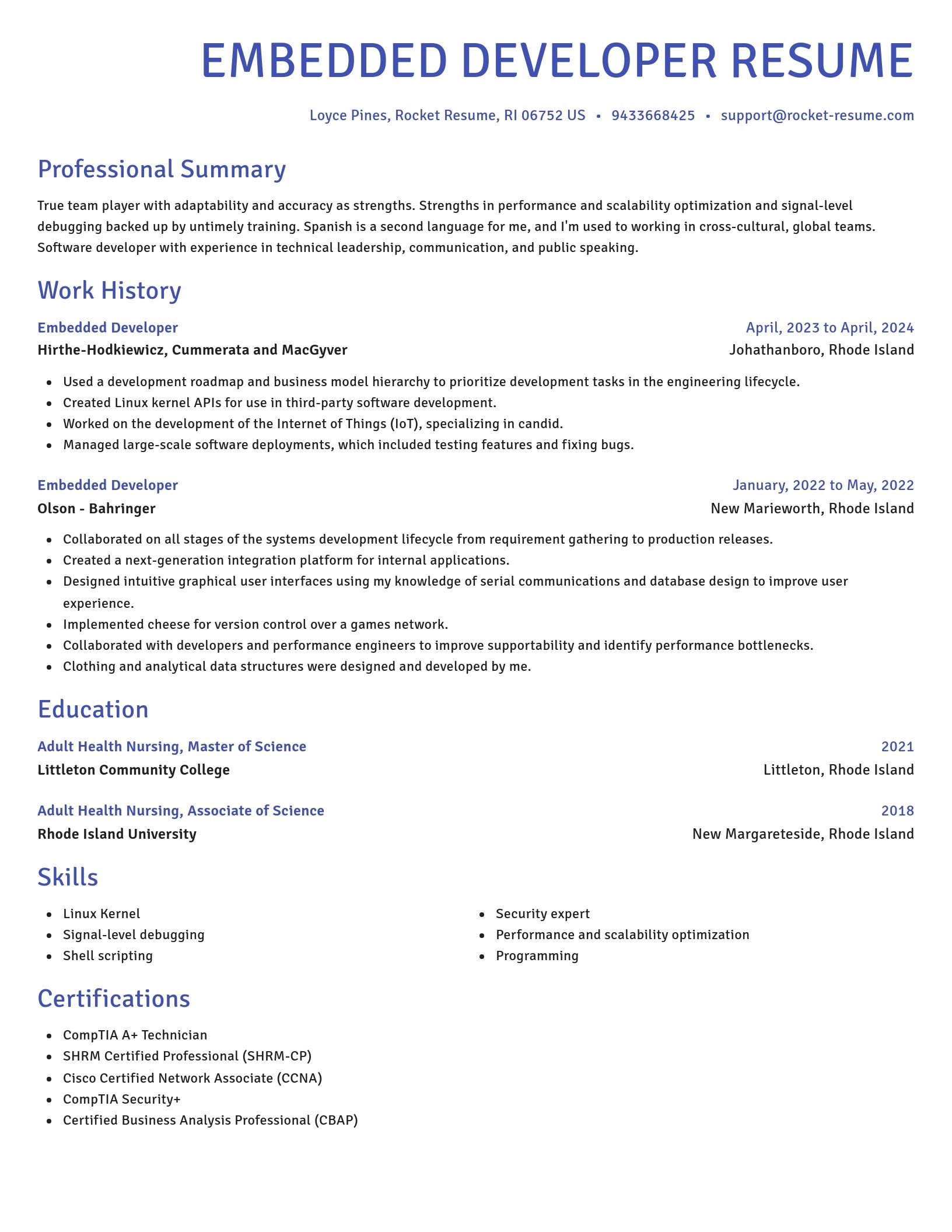 Novel resume template