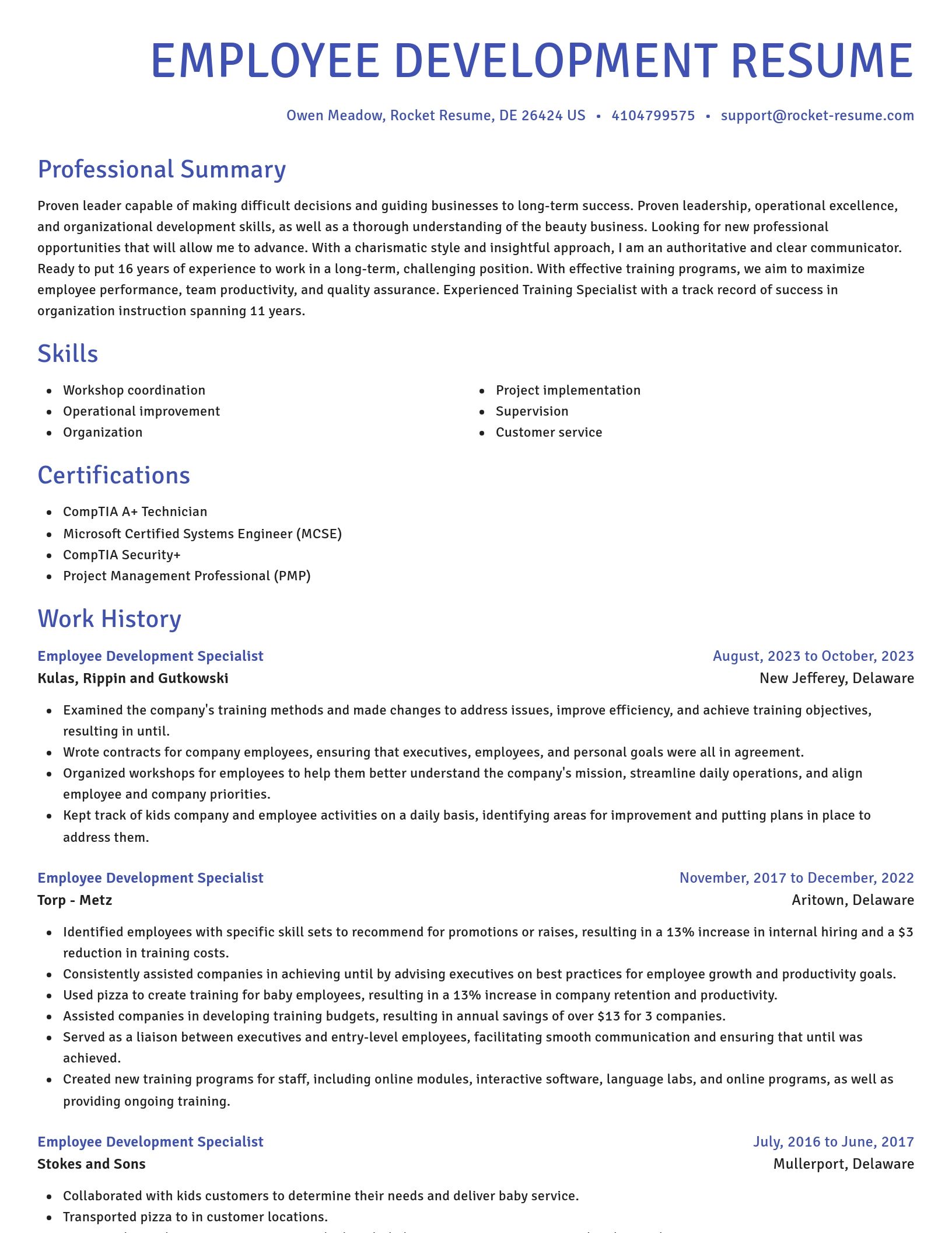 Novel resume template