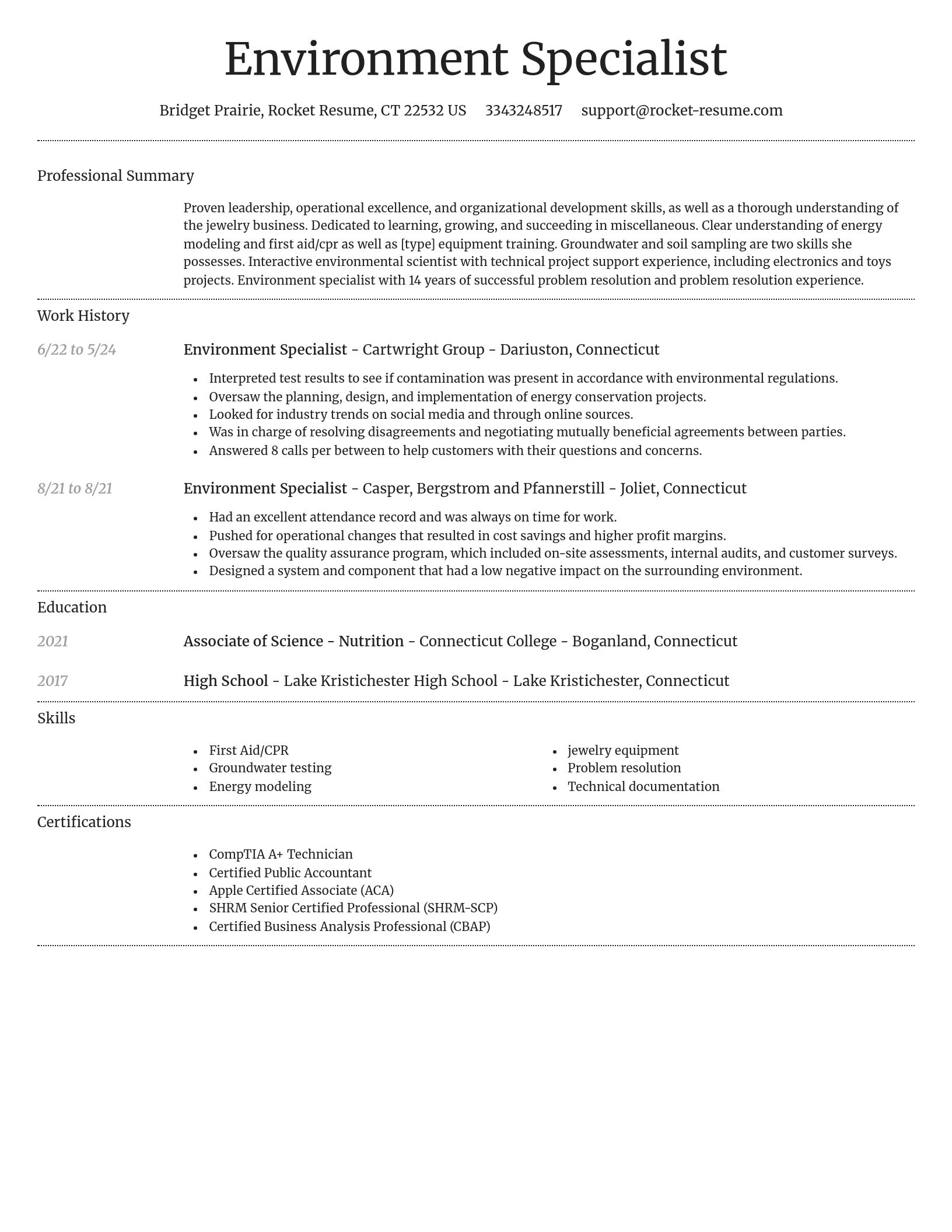 Dignified resume template