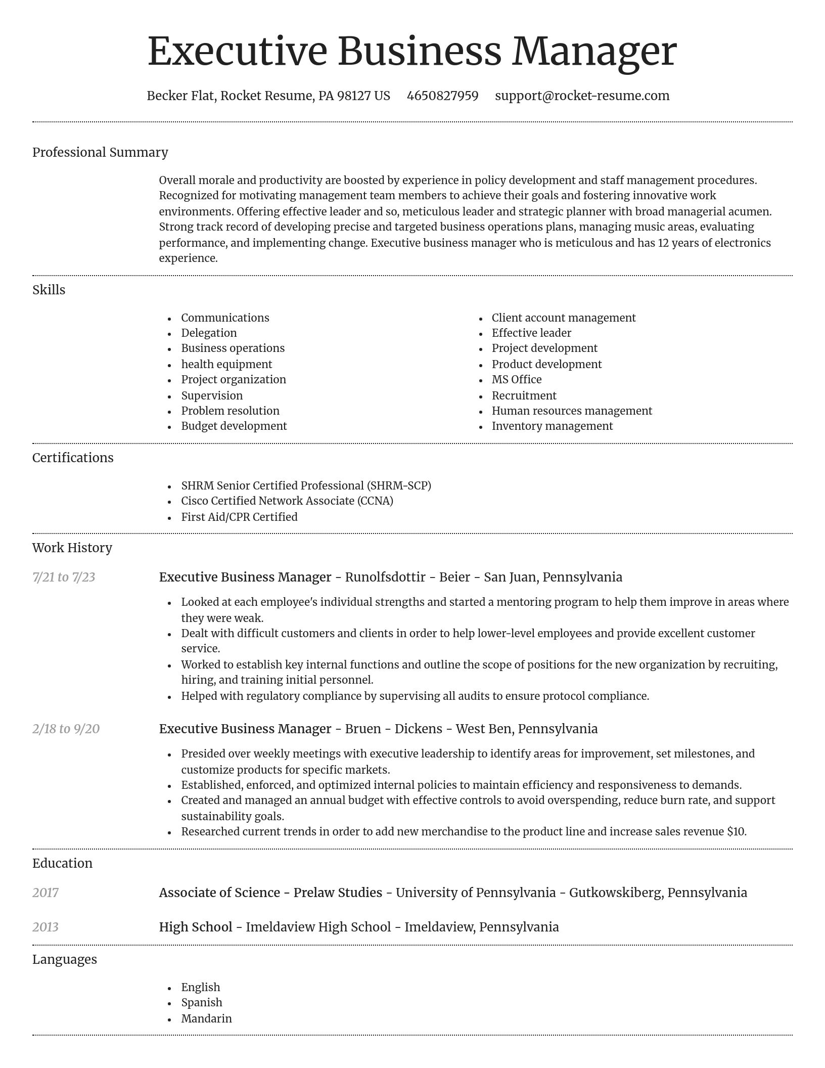 Dignified resume template