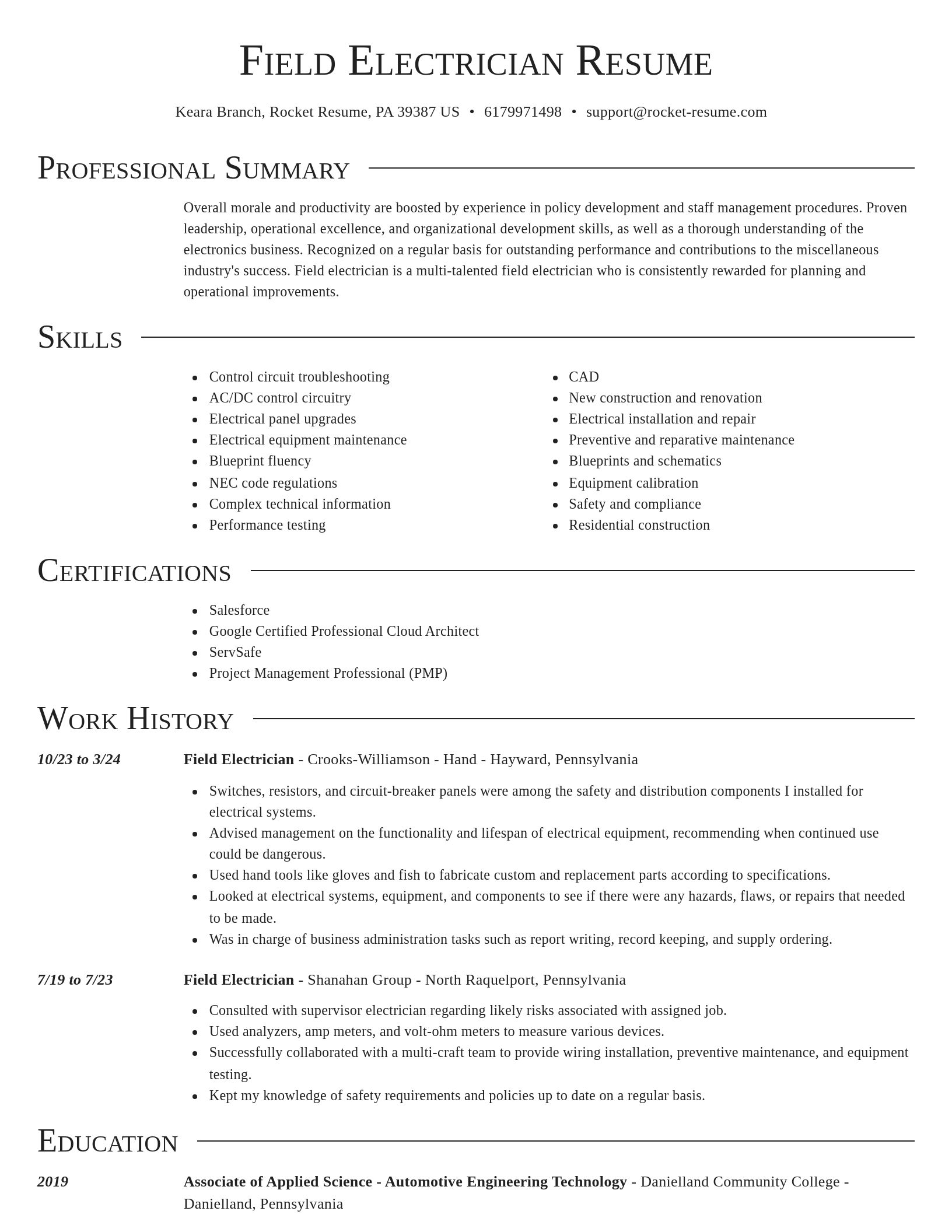 Director resume template