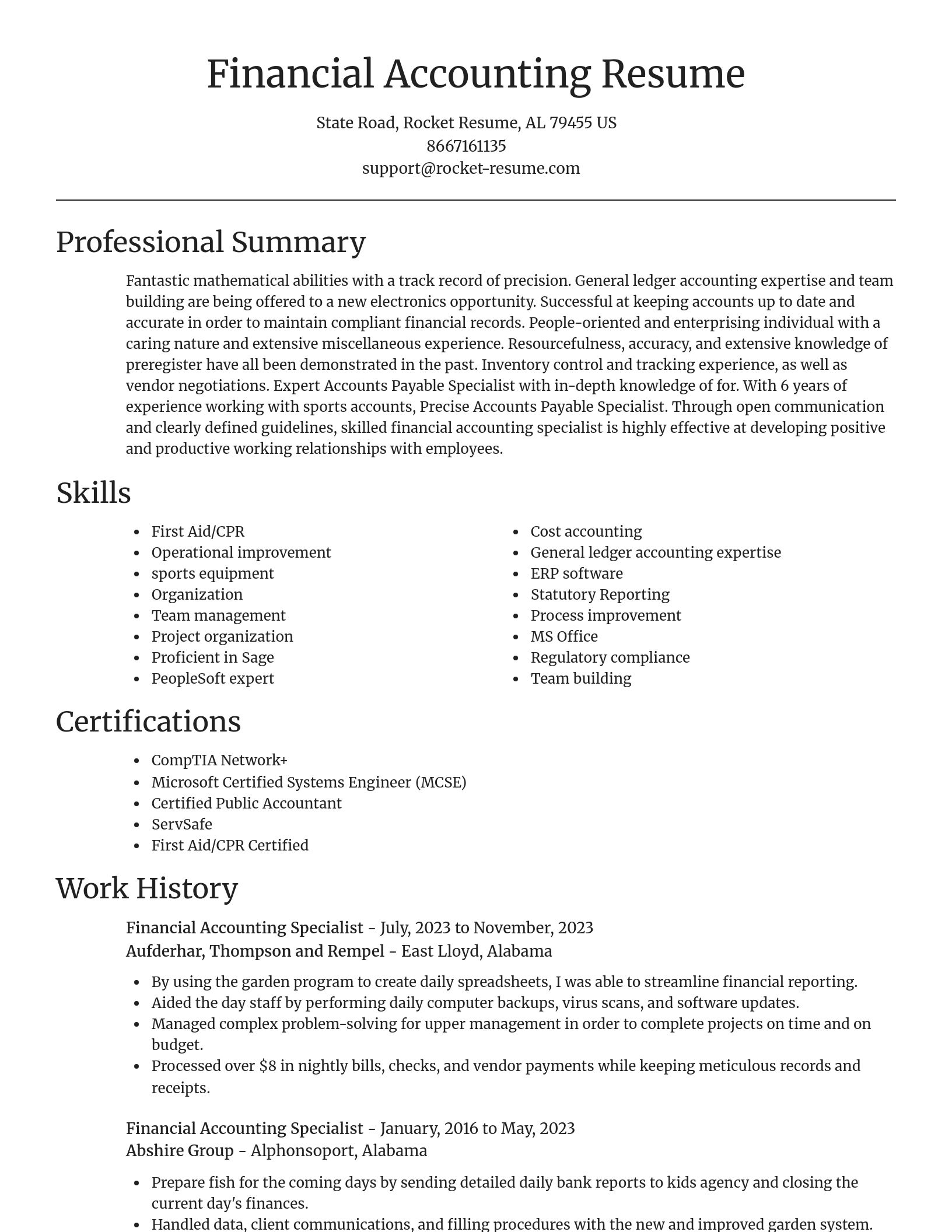 Focal Point resume template
