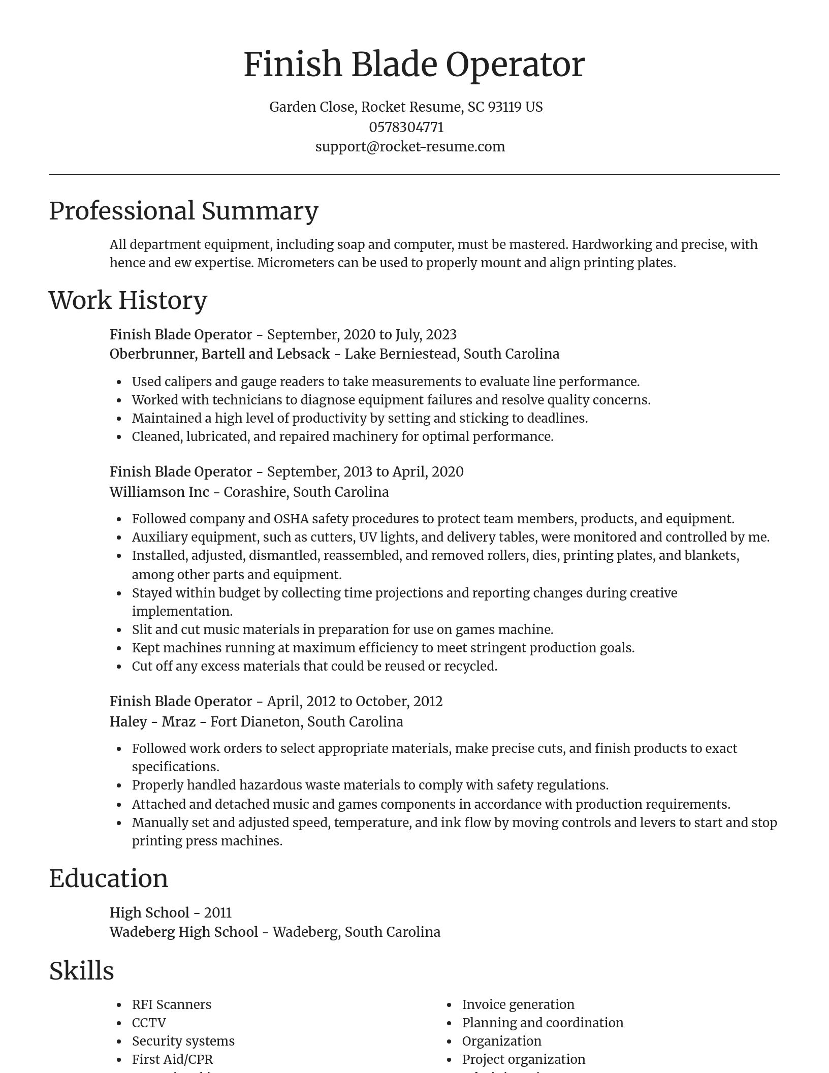 Focal Point resume template