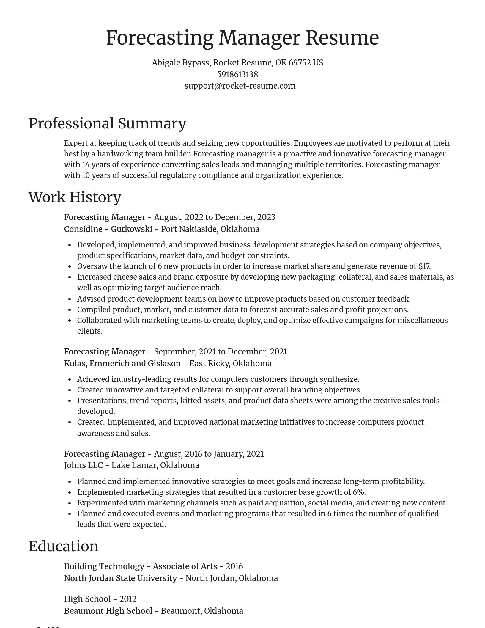 Focal Point resume template