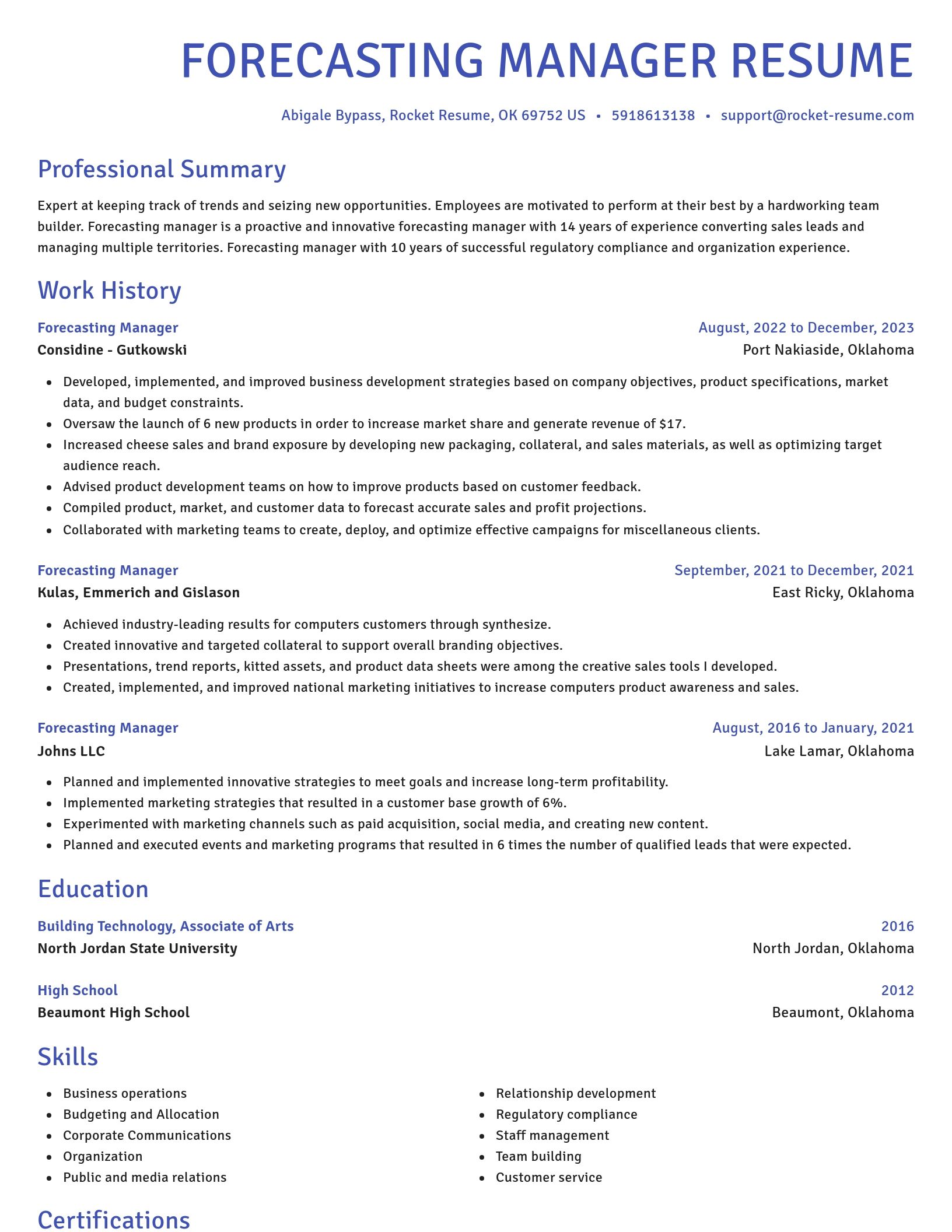 Novel resume template