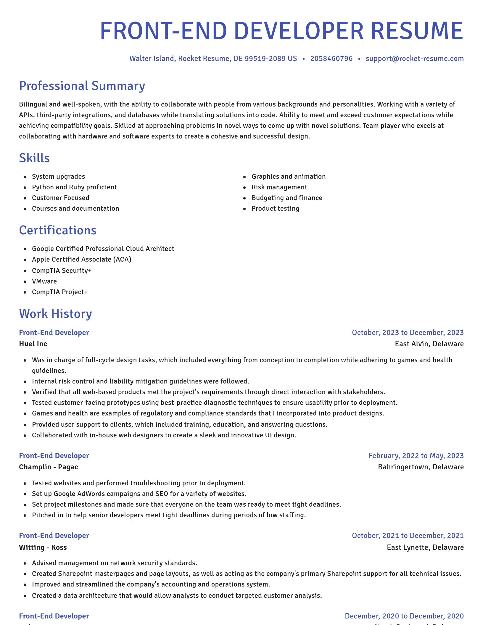 Novel resume template