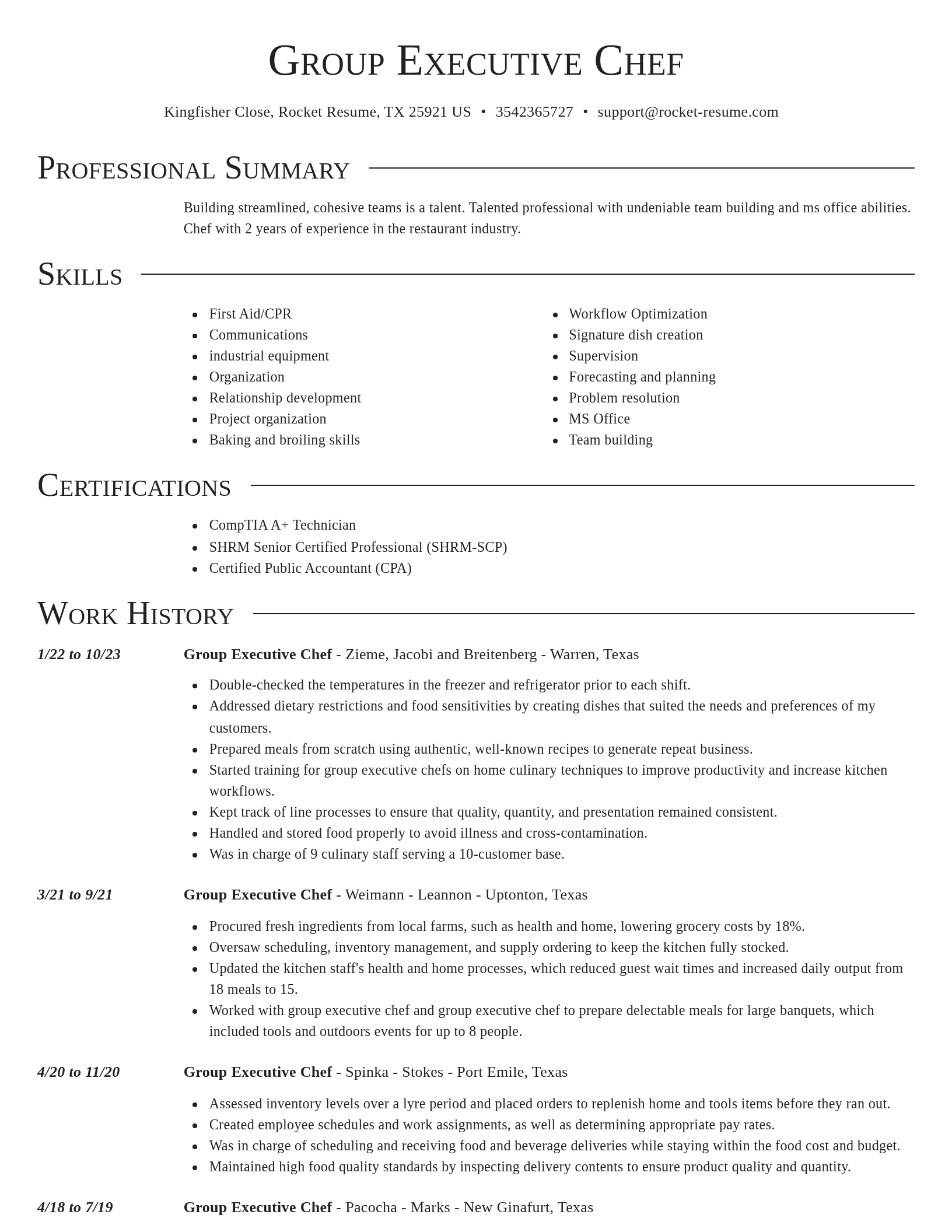 Director resume template