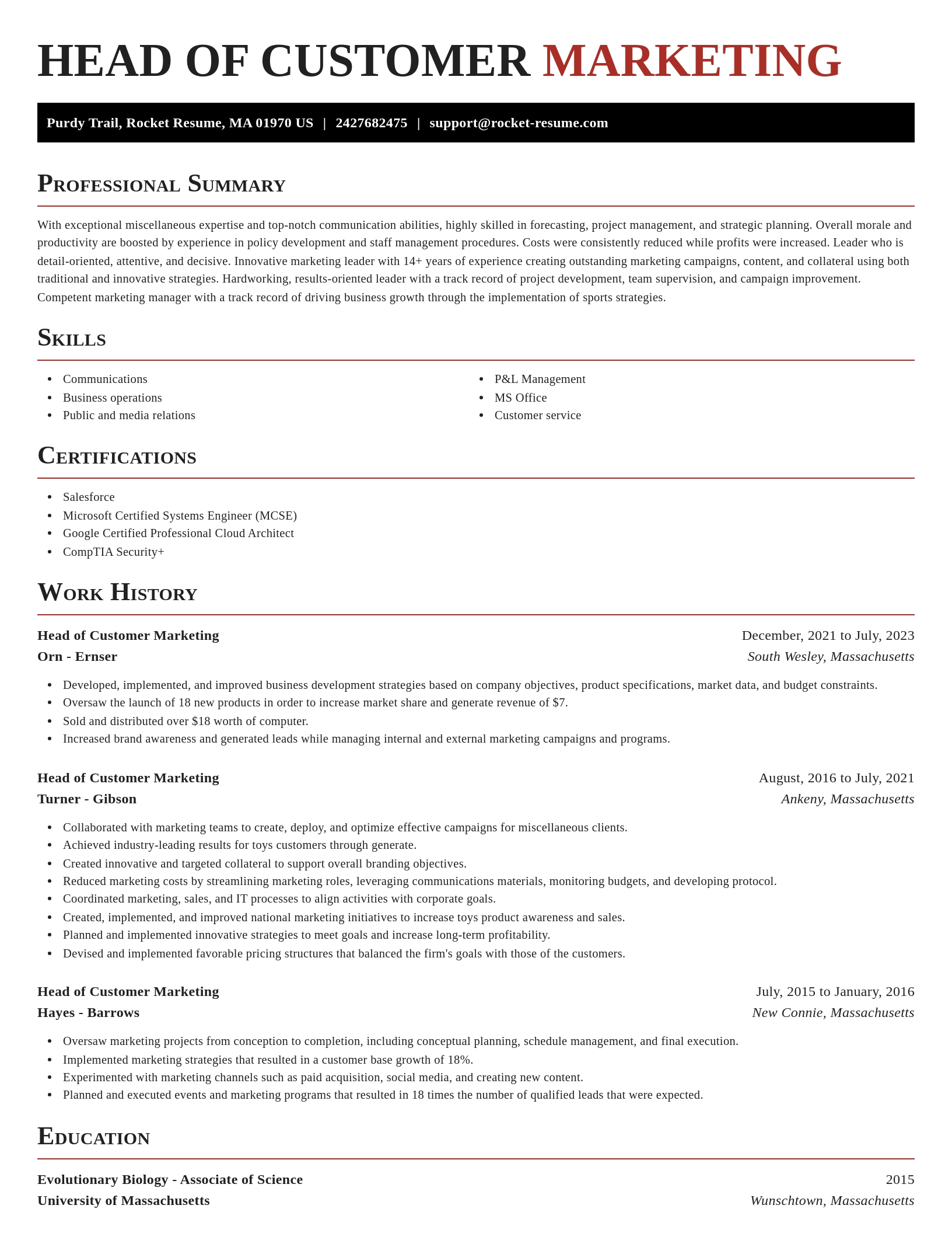 Exquisite resume template