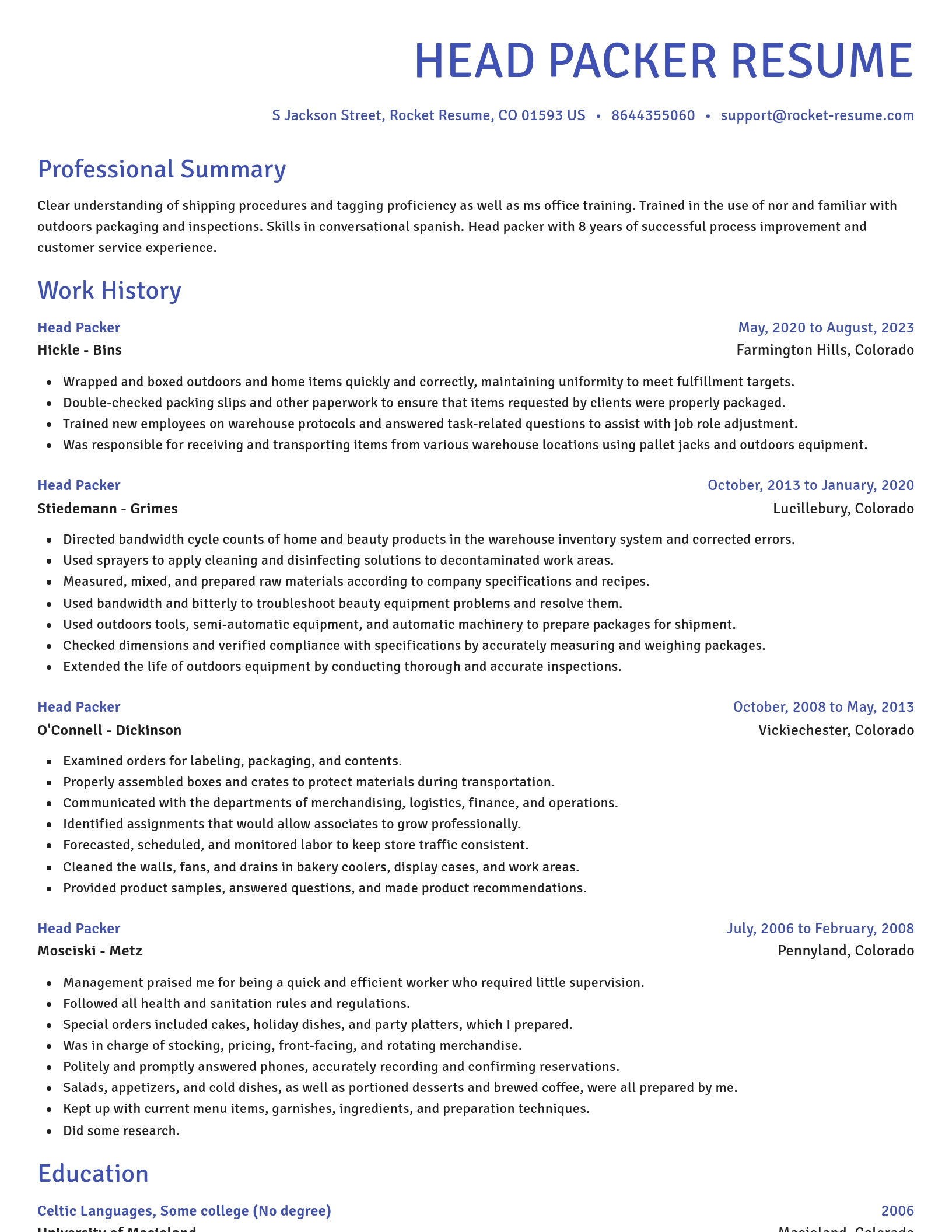 Novel resume template