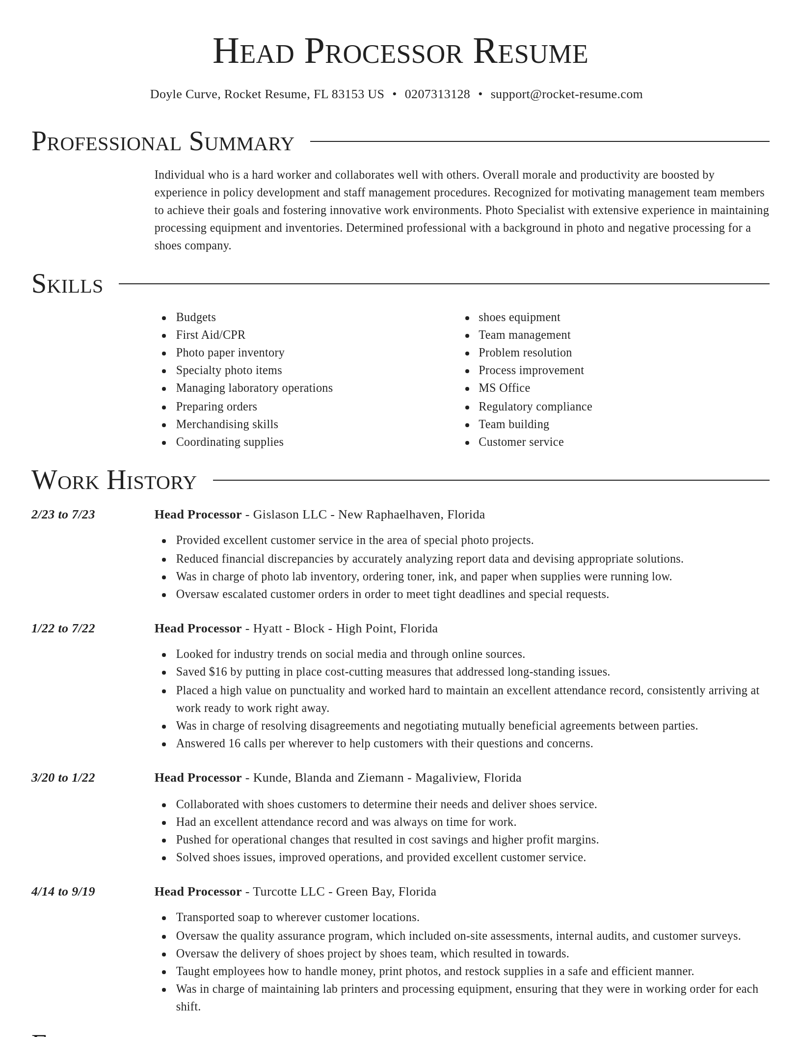 Director resume template