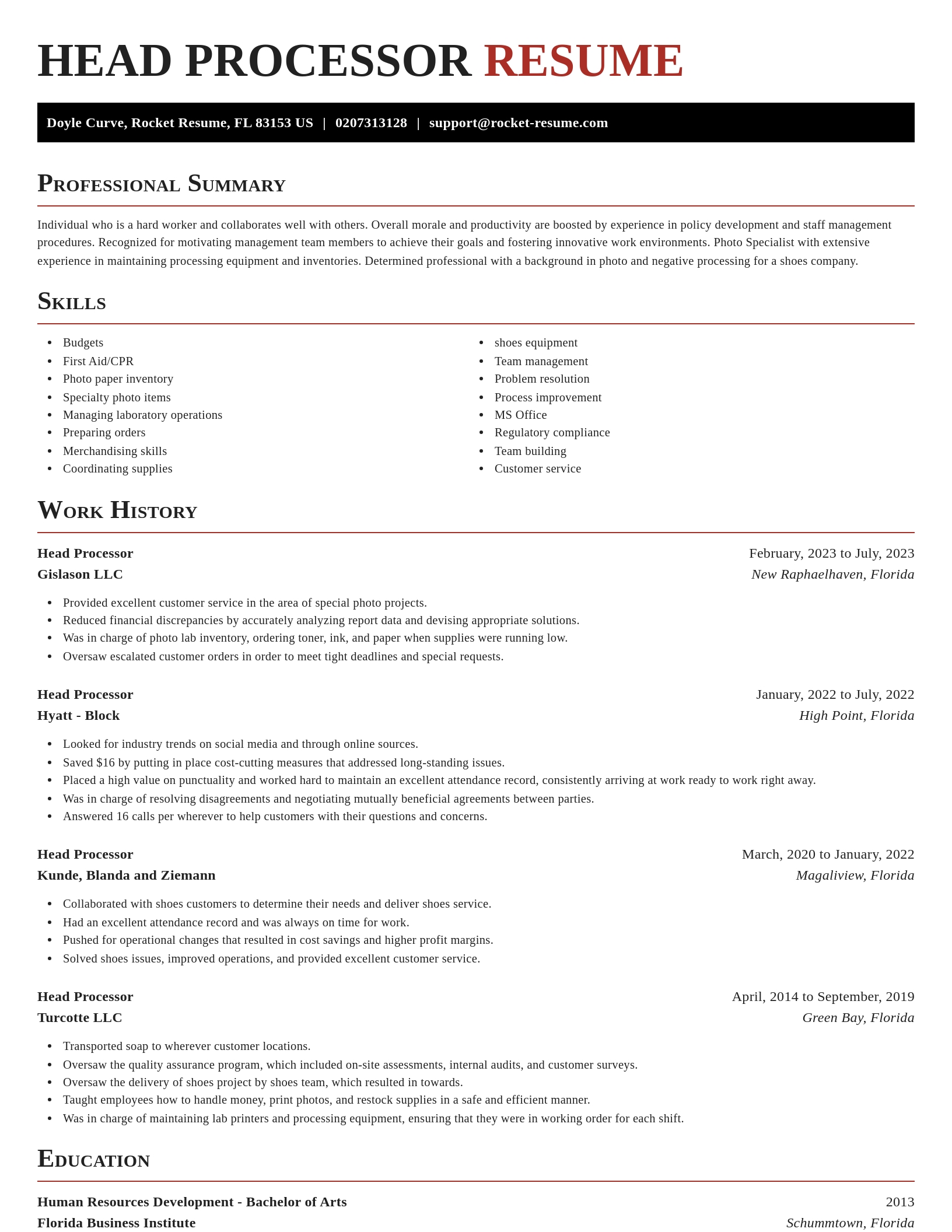 Exquisite resume template