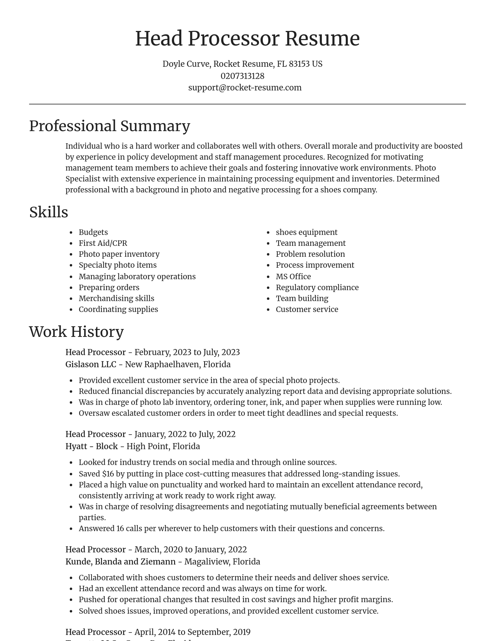 Focal Point resume template