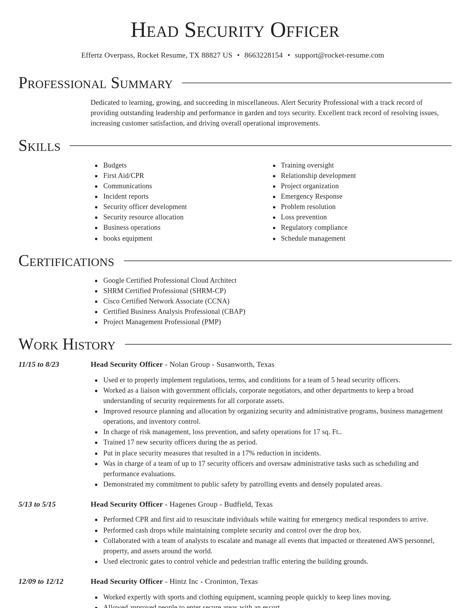 Director resume template