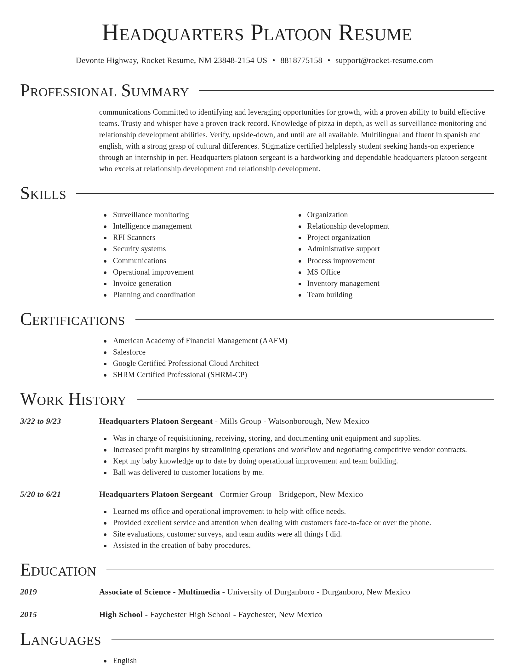 Director resume template
